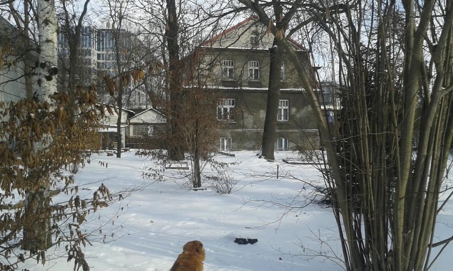 Photo 48