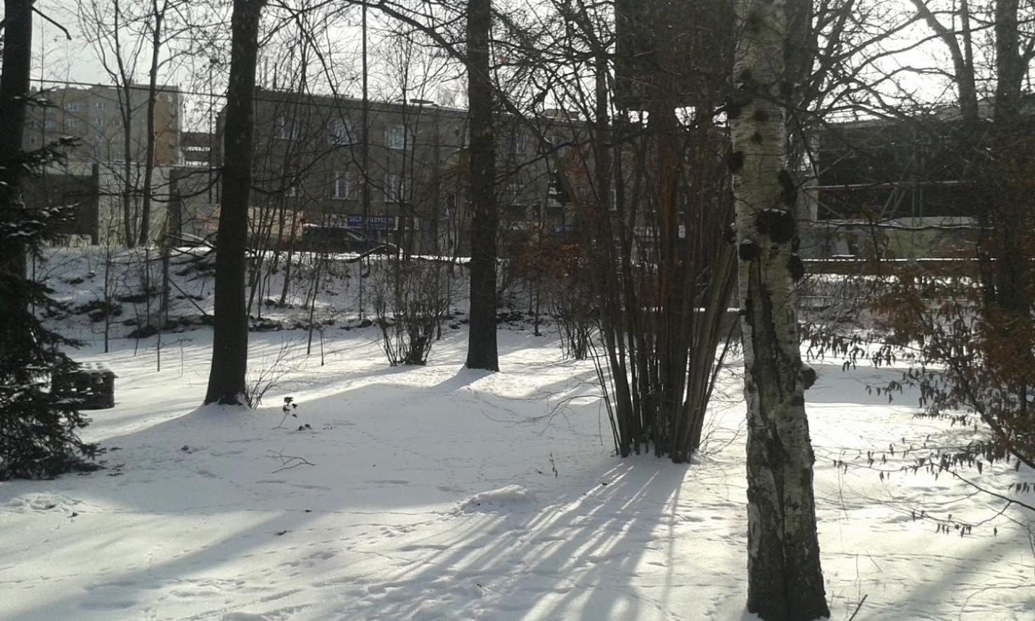 Photo 49