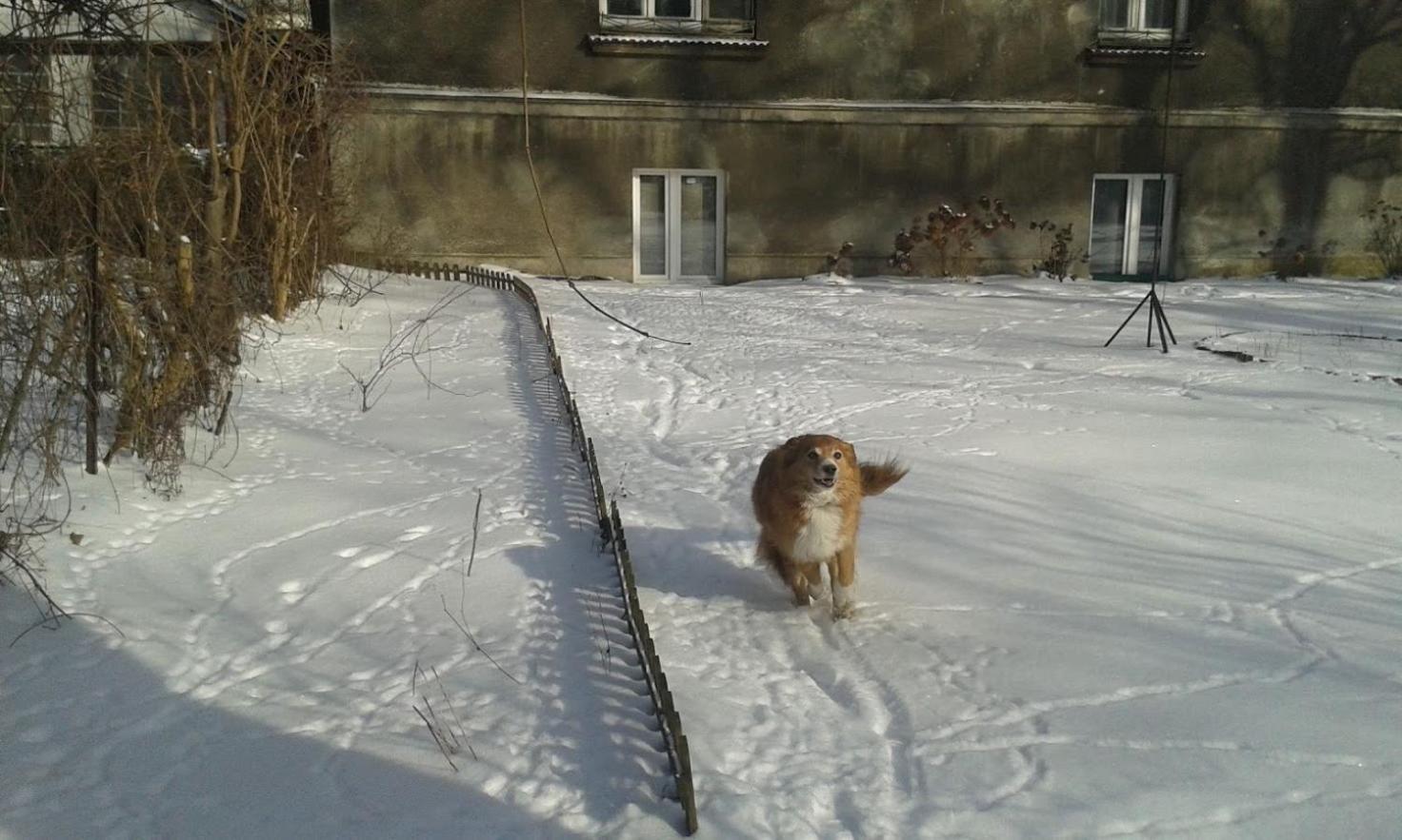Photo 50