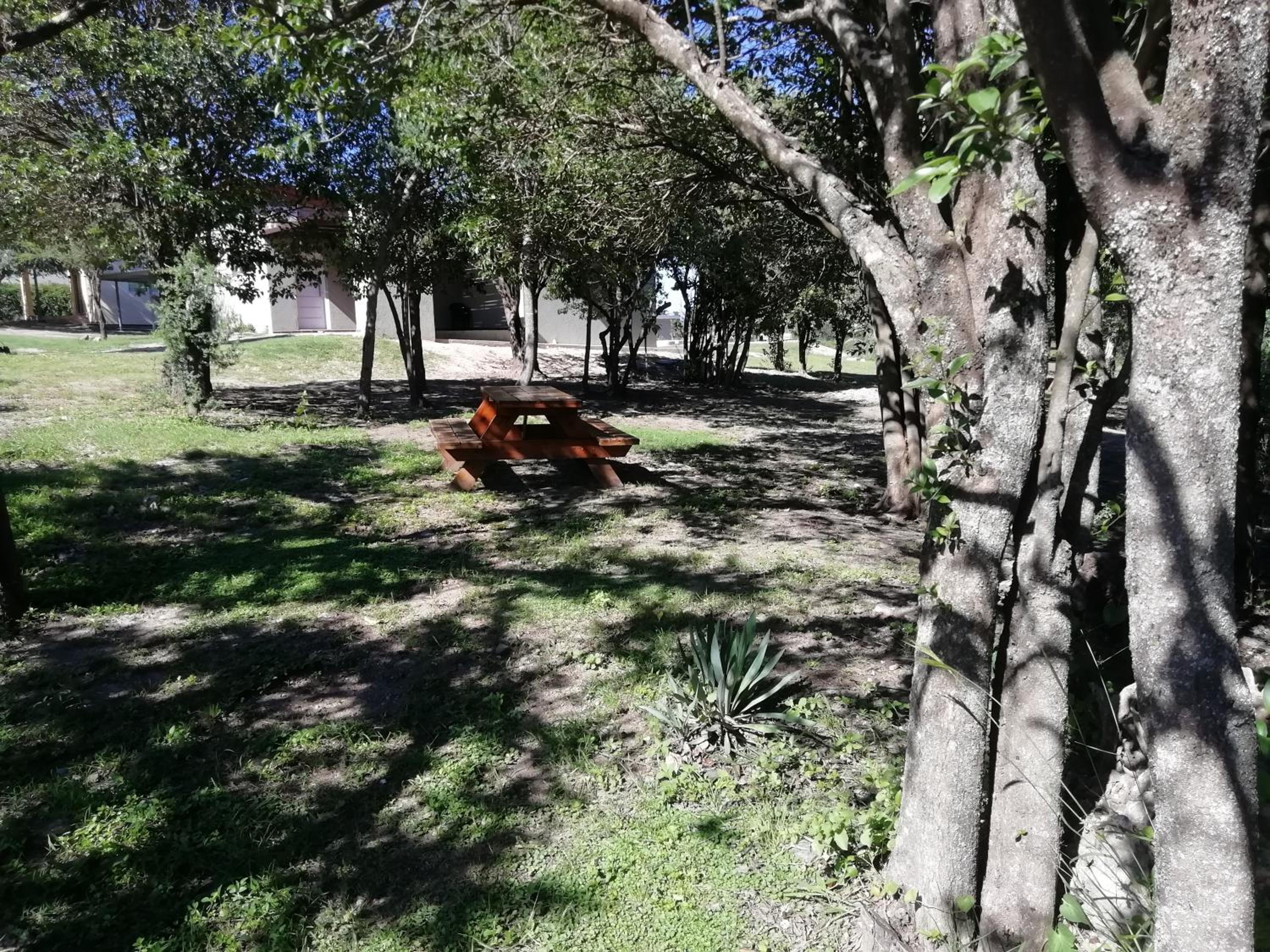 El Algarrobo Escondido Canchas de Pádel y Bosque Serrano