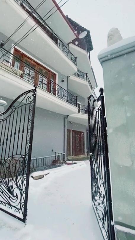 ODA Guest House