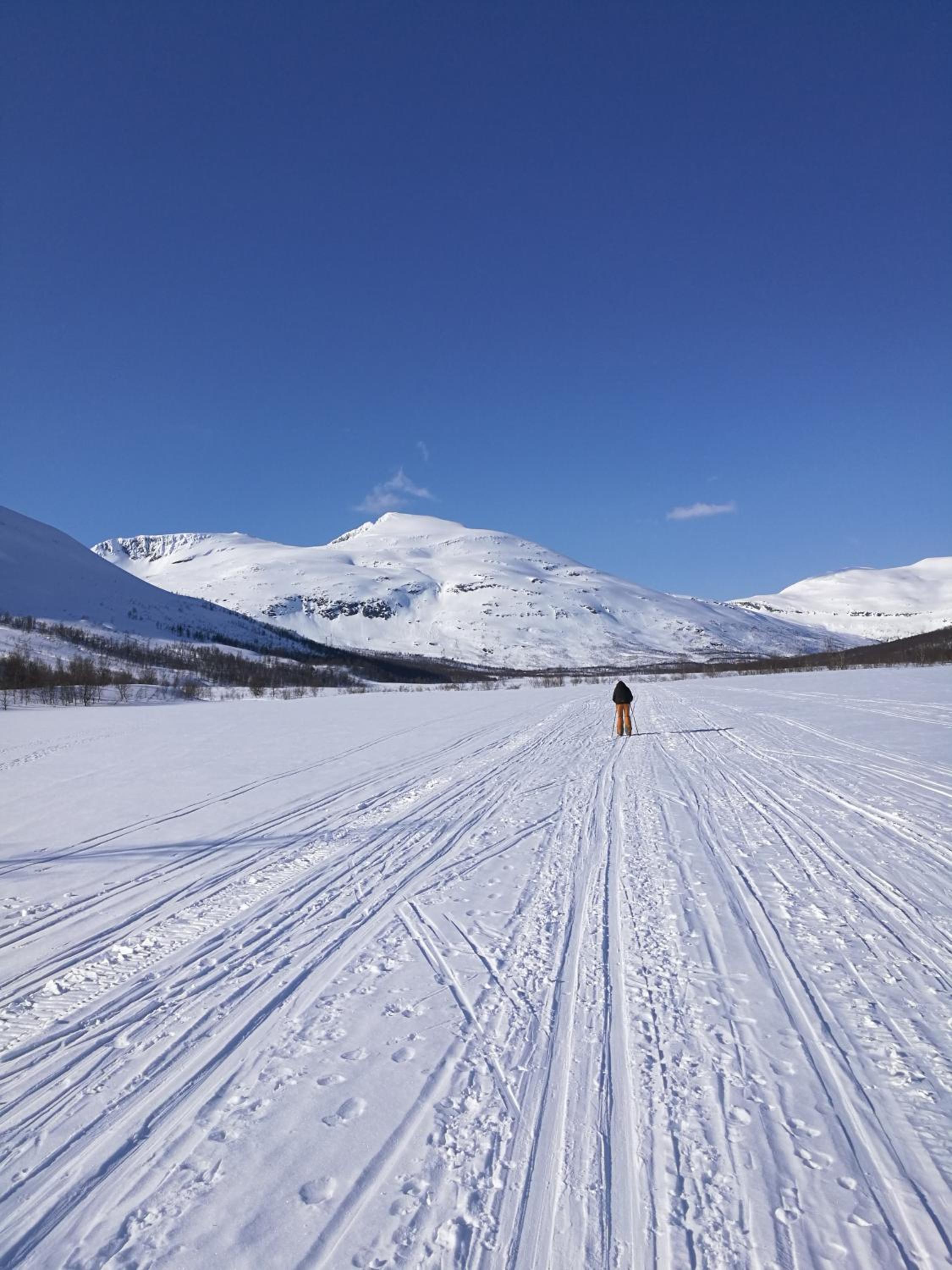 Lapphaugen Turiststasjon