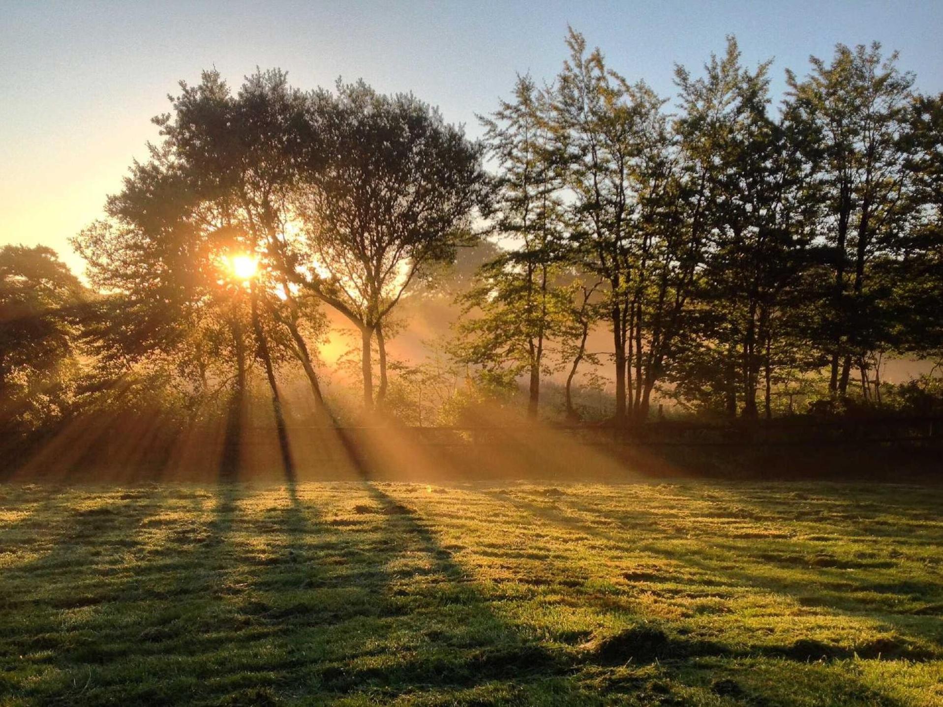 Holsworthy Holiday Cottages