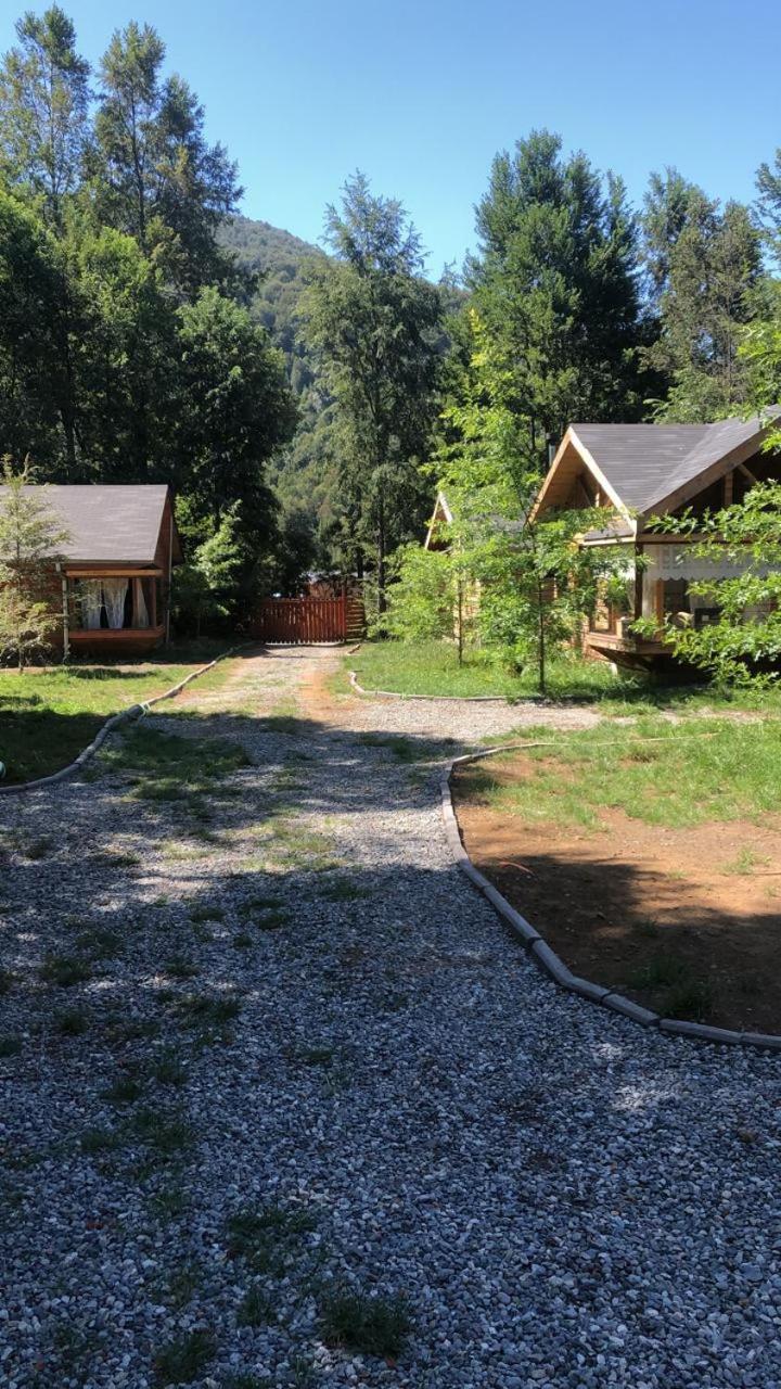 Bosques de Caburgua