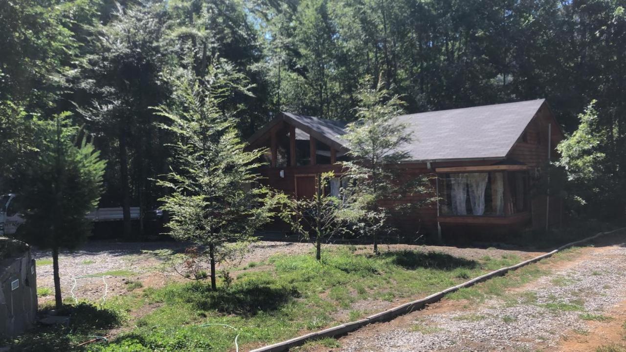 Bosques de Caburgua