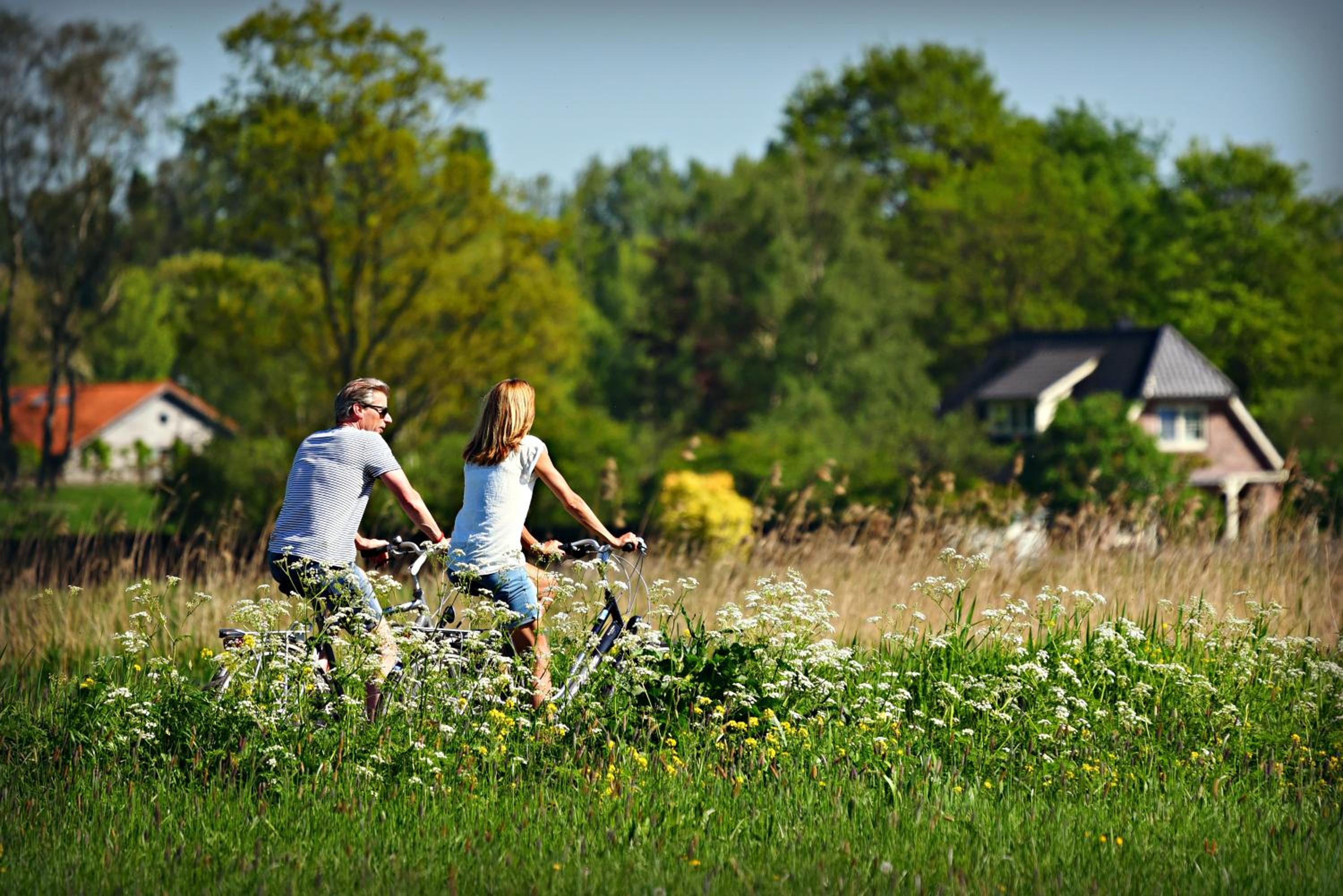 Ruyge Weyde Logies, Eco Farm