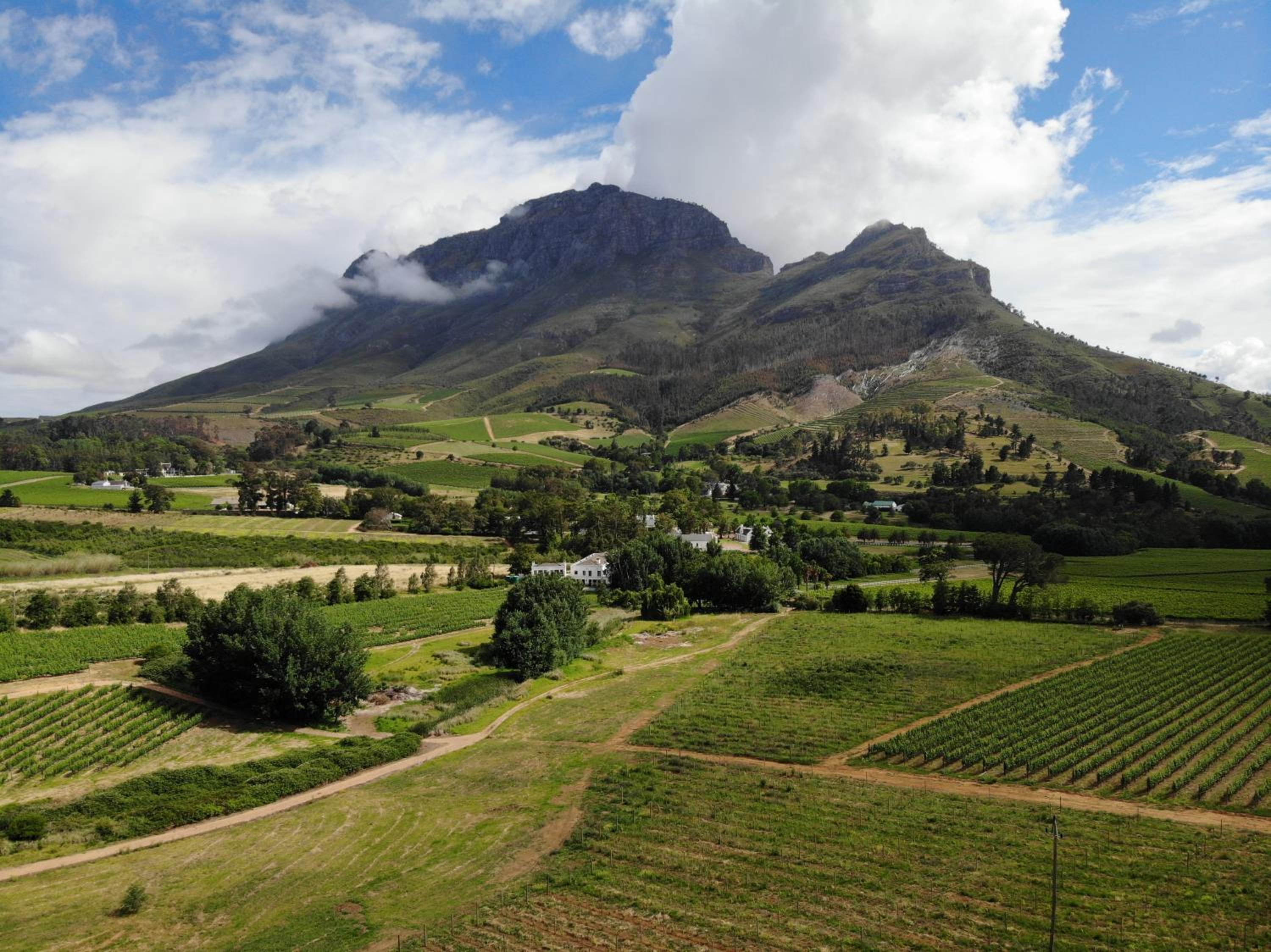 Le Pommier Wine Estate view 2