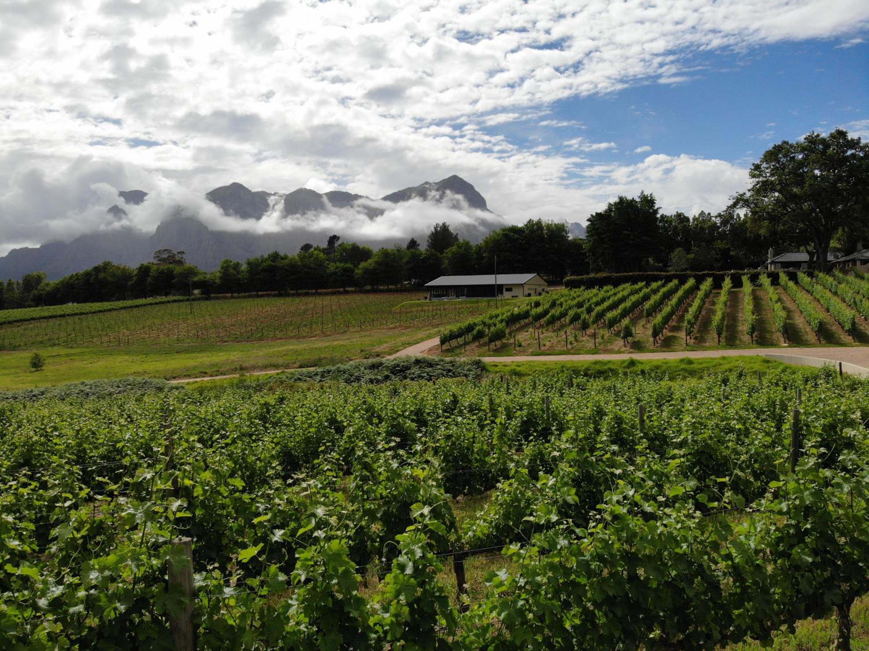 Le Pommier Wine Estate view 4