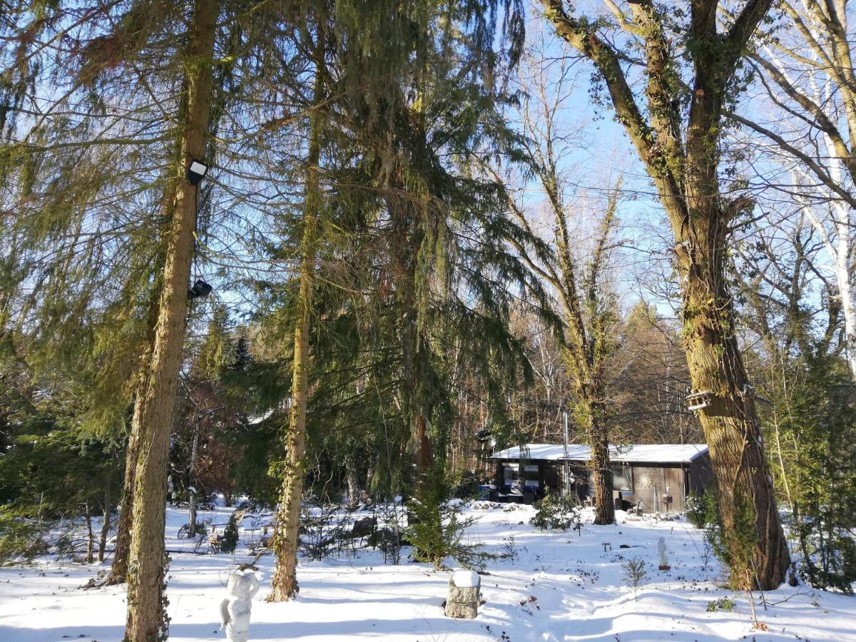 Ferienidyll Alte Eichen
