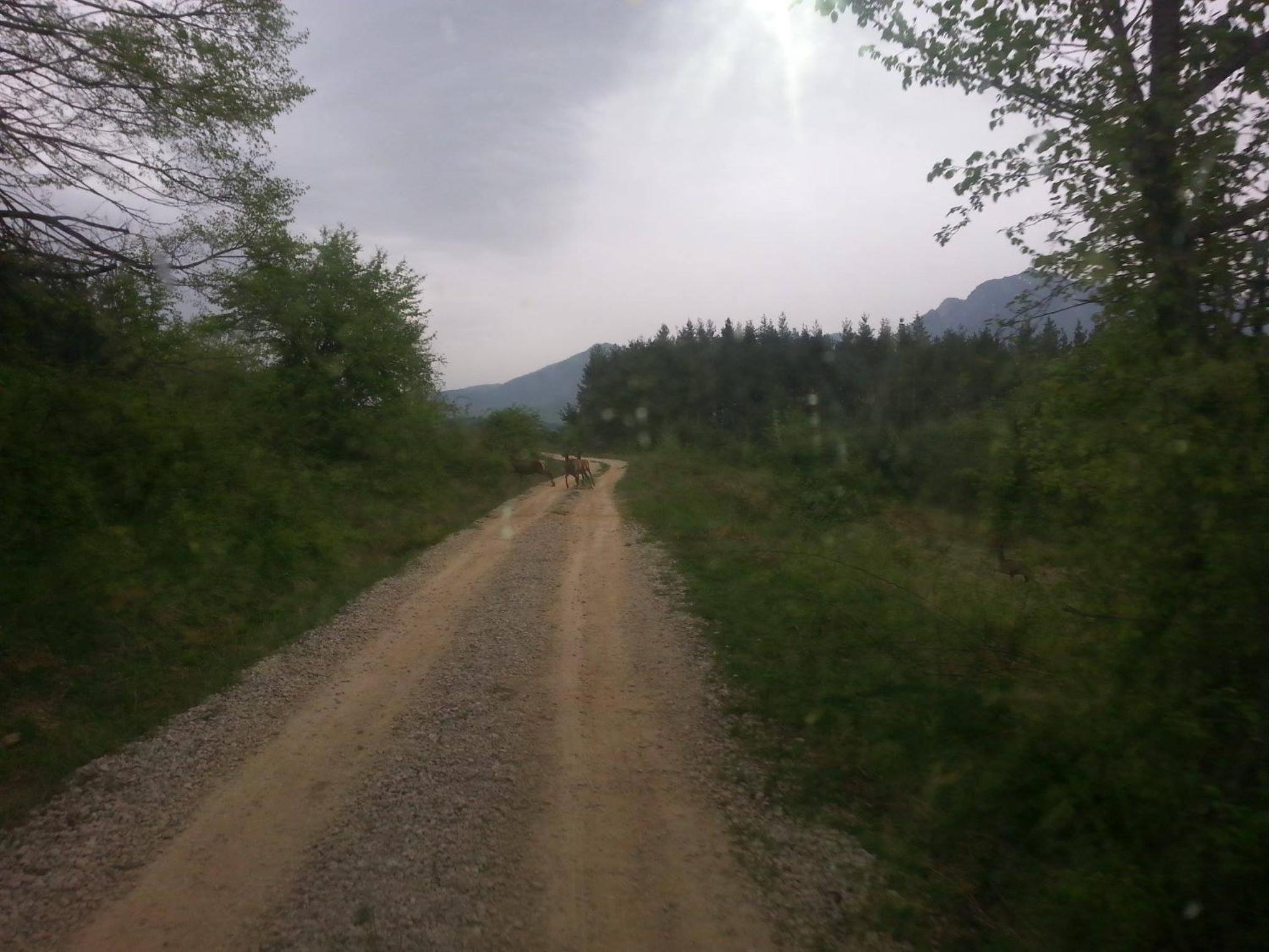 Къща за гости 
