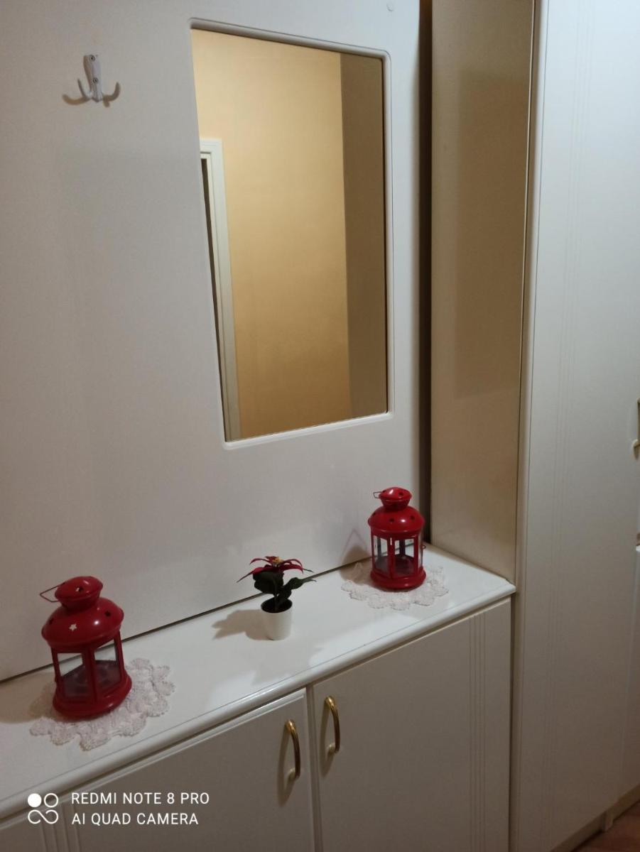 Apartman JELENA M Vrnjačka Banja view 4