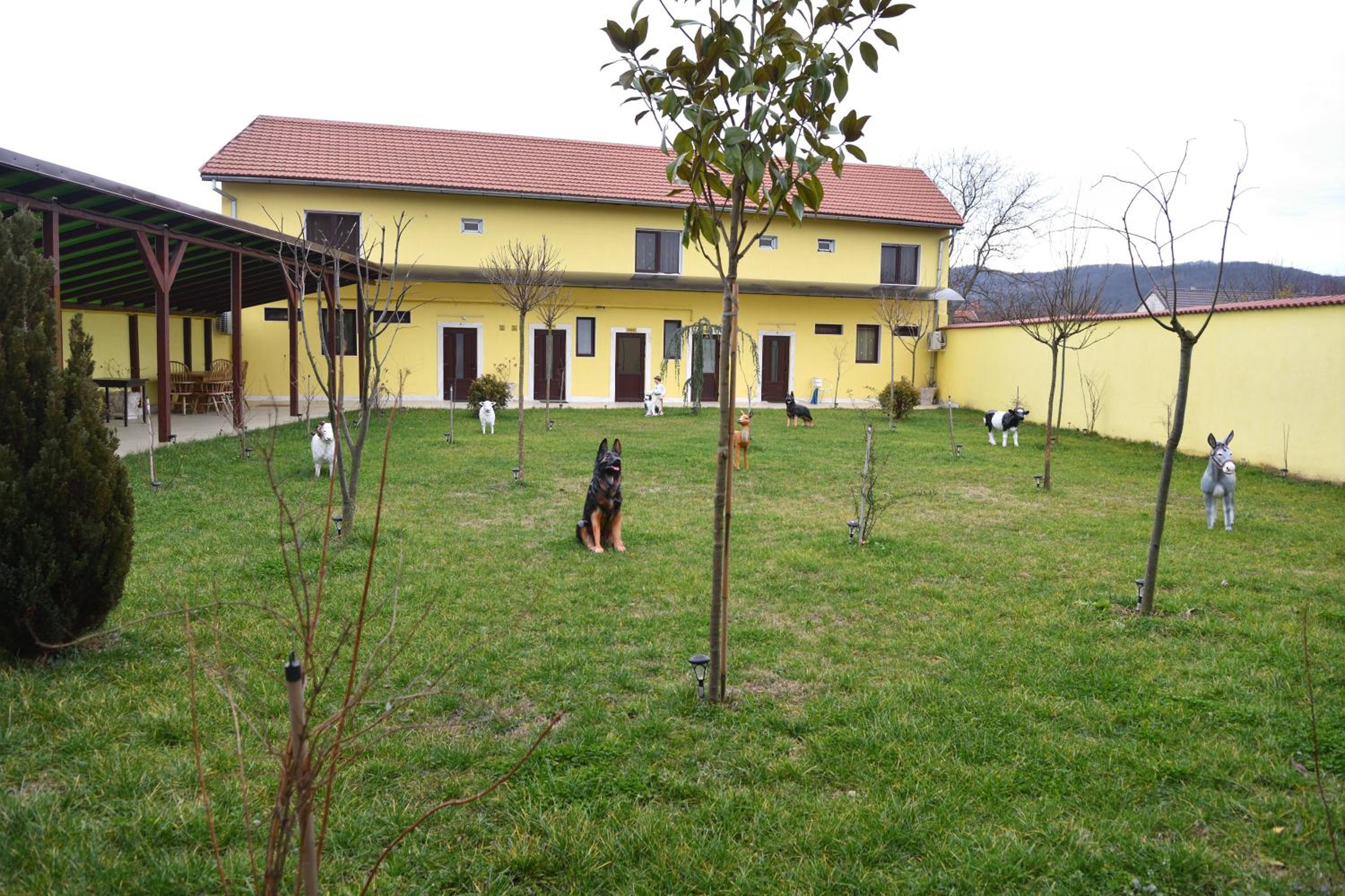 Photo 7