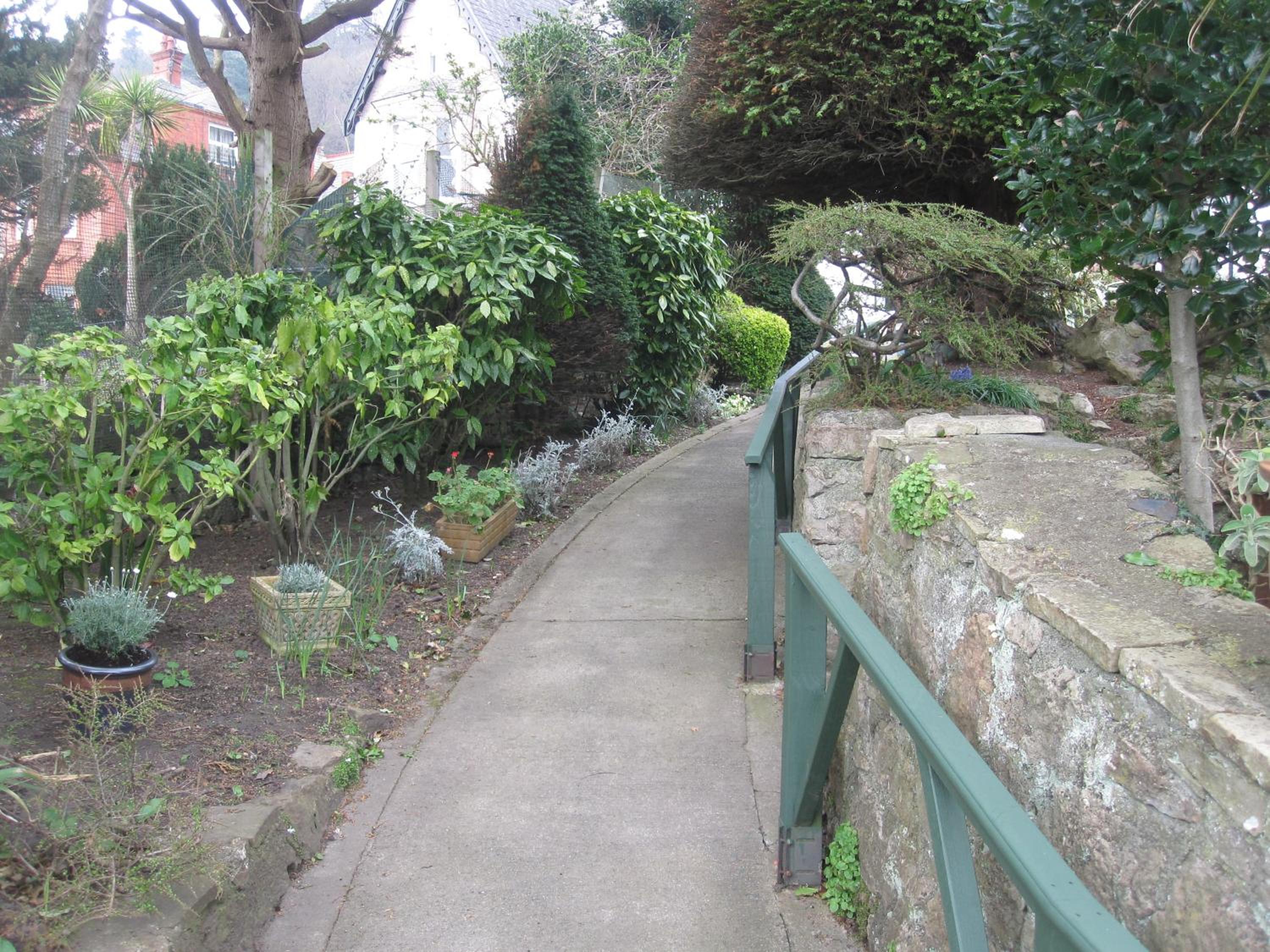 Photo 16