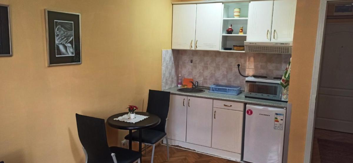 Apartman JELENA M Vrnjačka Banja view 3