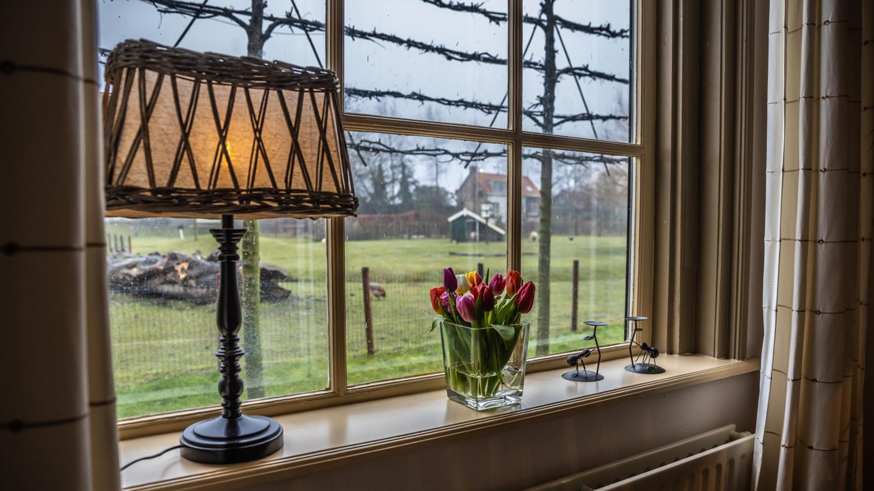 Welcome in - Vakantiewoning in natuurgebied en uitspanning Oranjezon I Koningin Emmaweg 26 Vrouwenpolder view 5