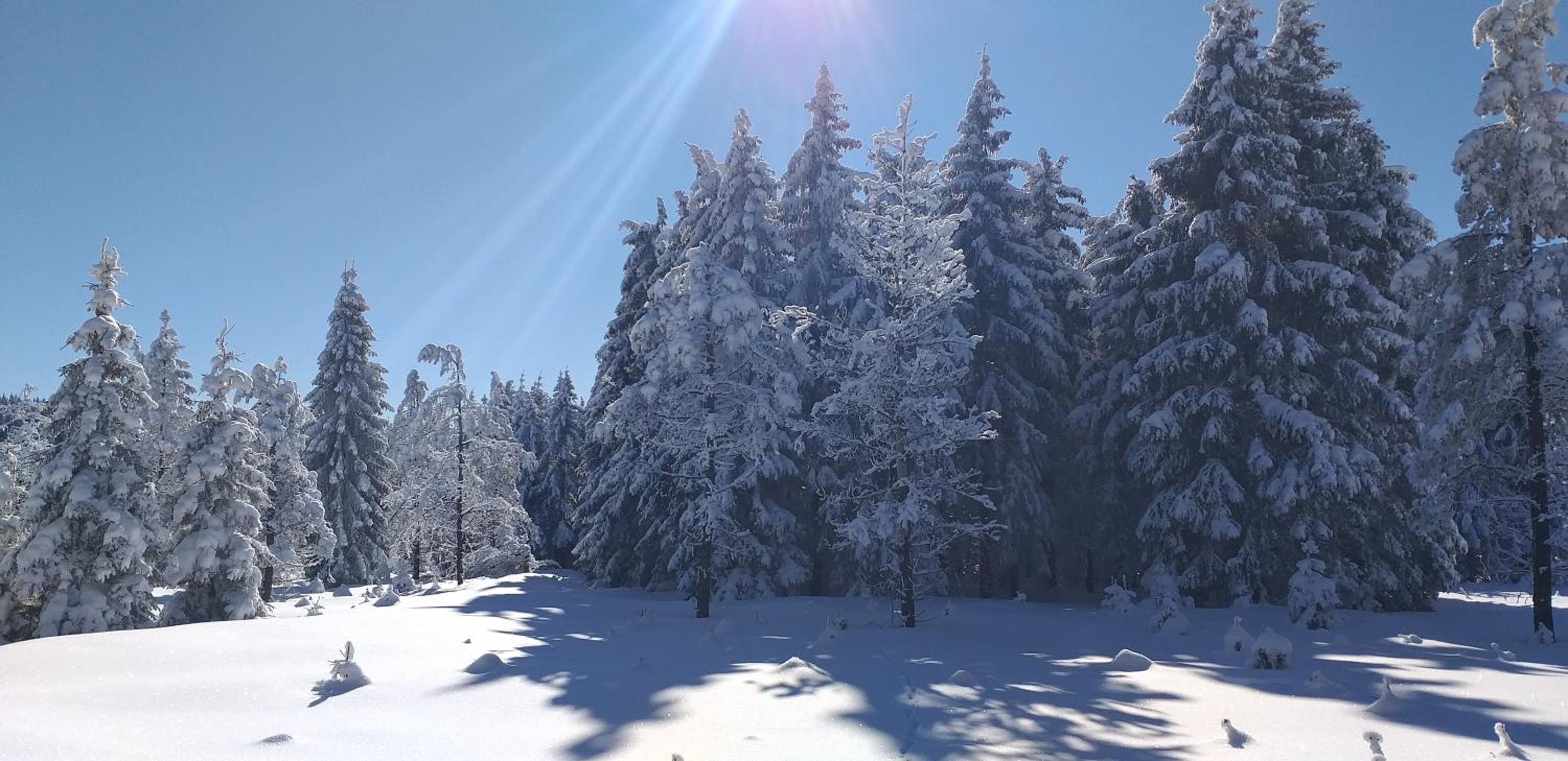 Pension Berghof