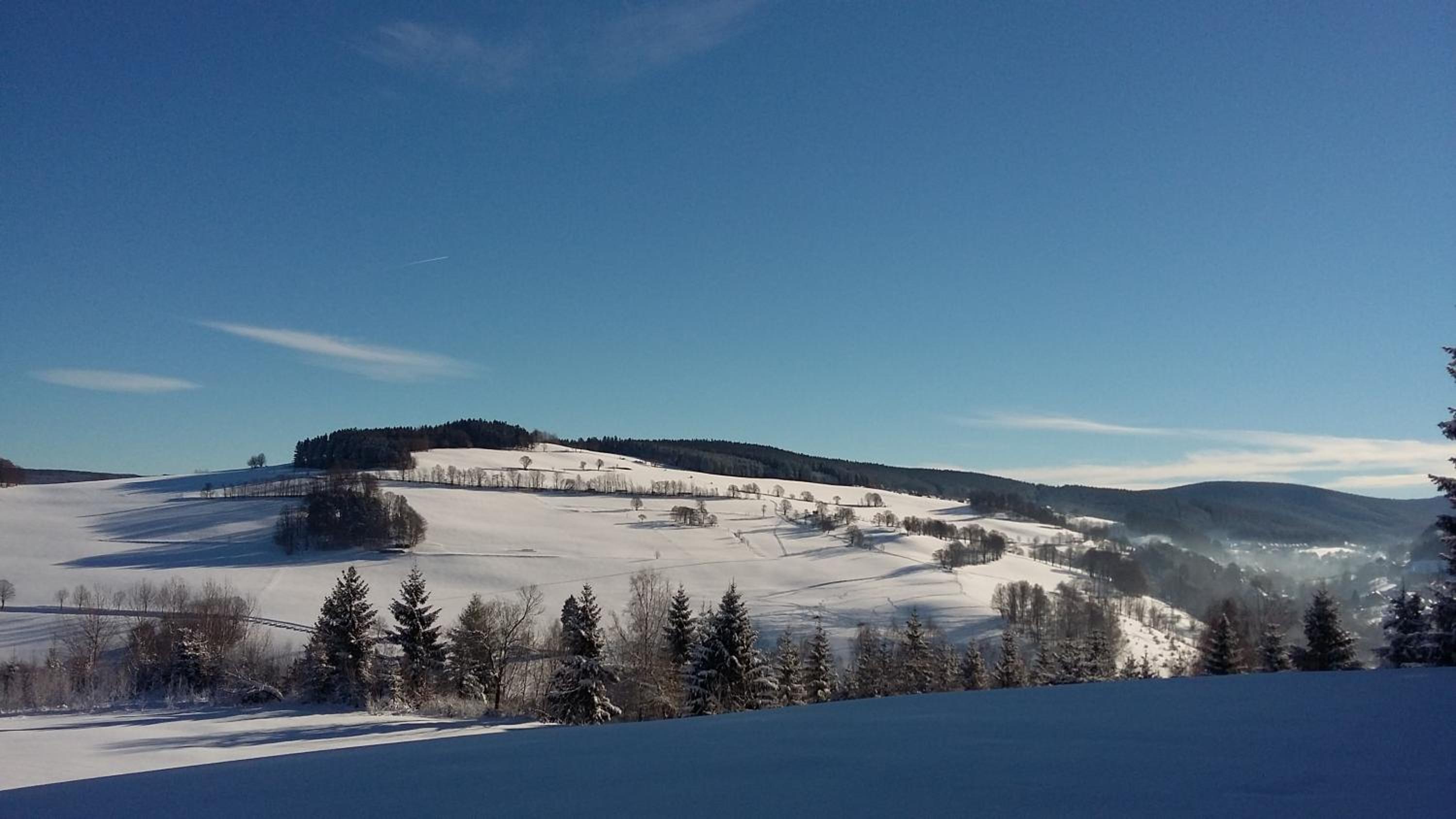 Pension Berghof
