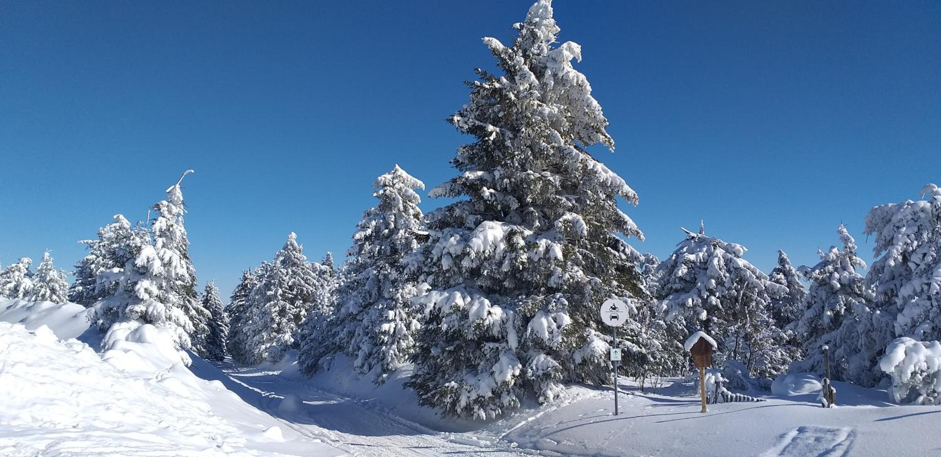 Pension Berghof