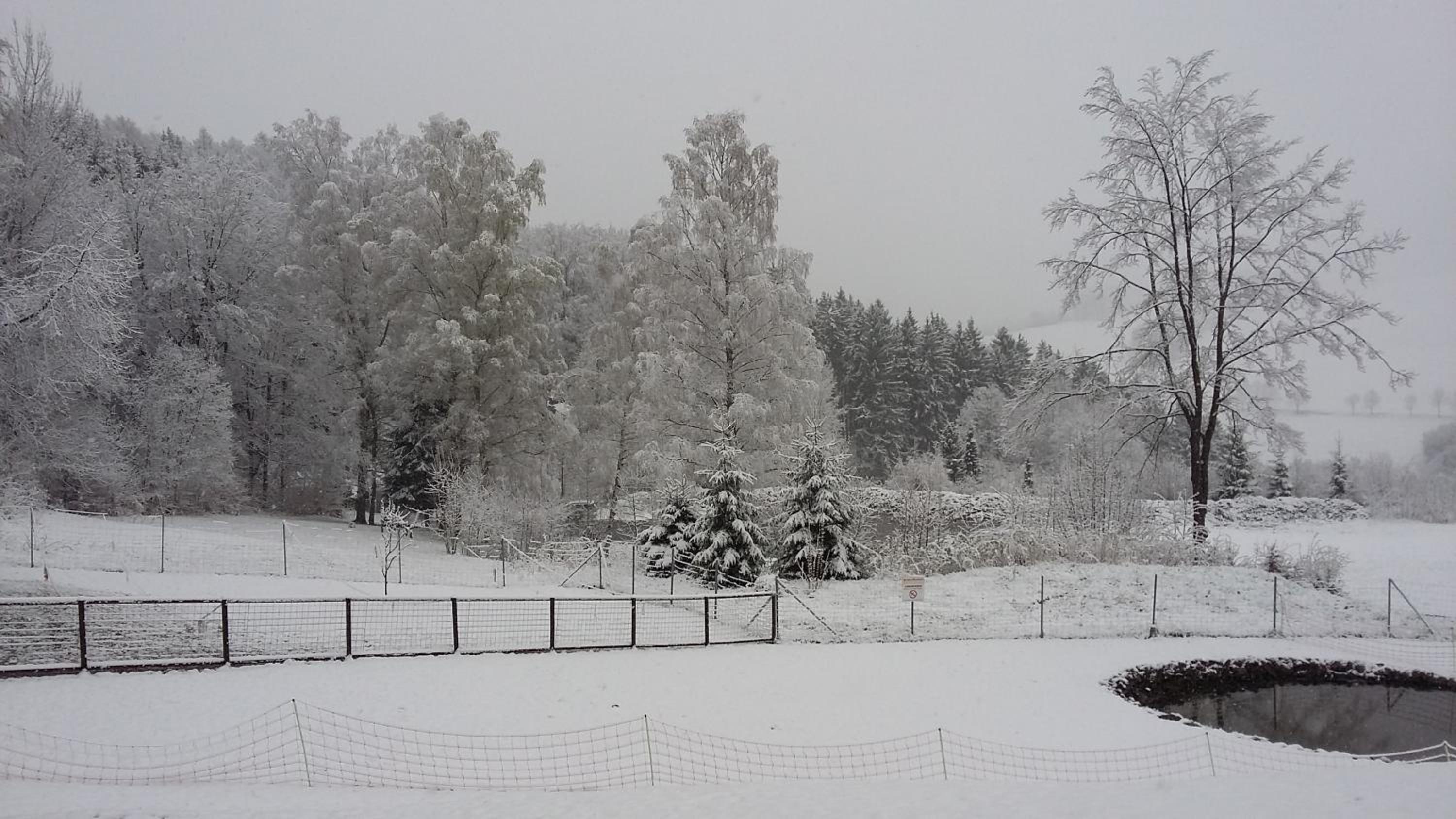 Pension Berghof