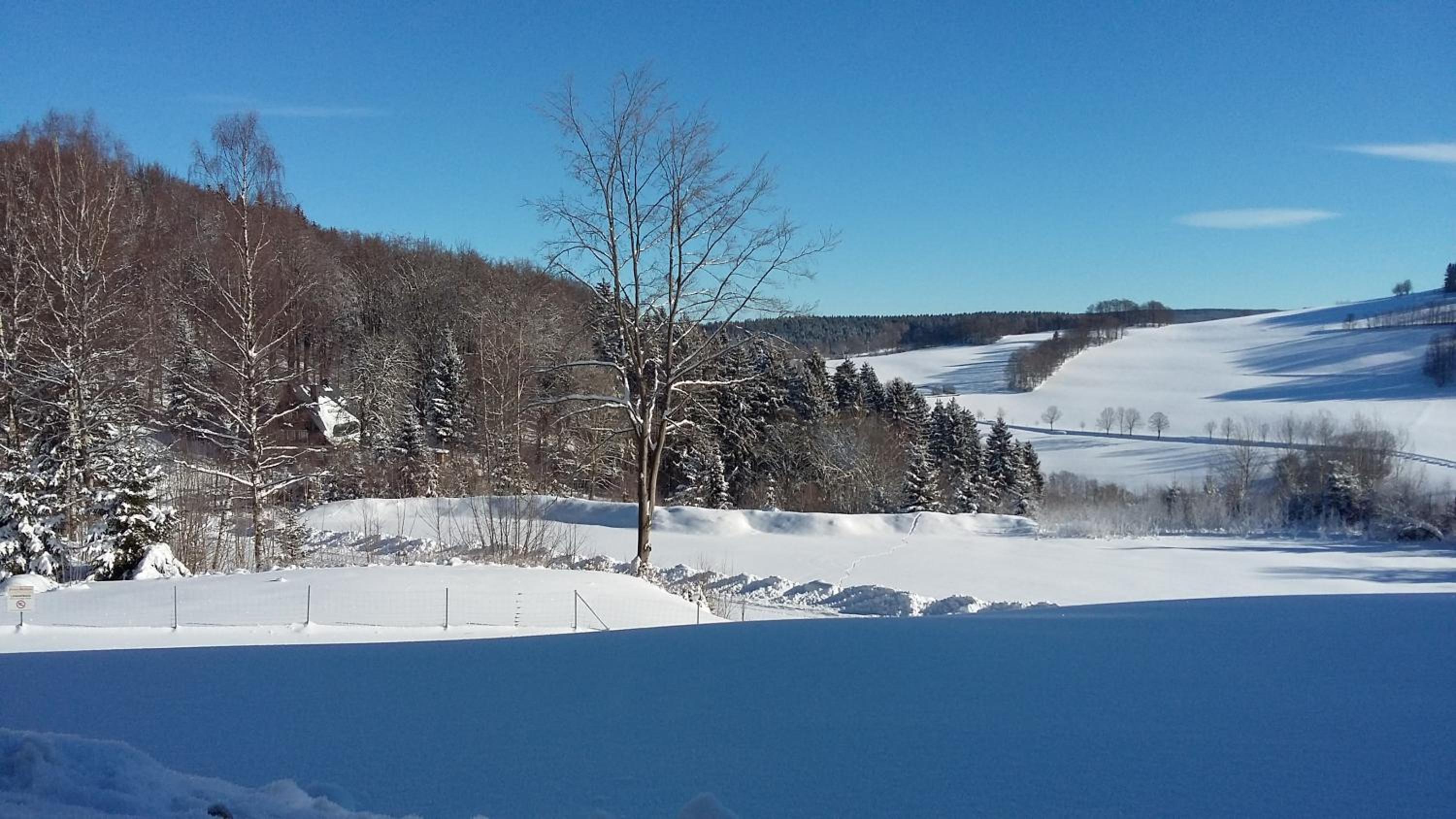 Pension Berghof