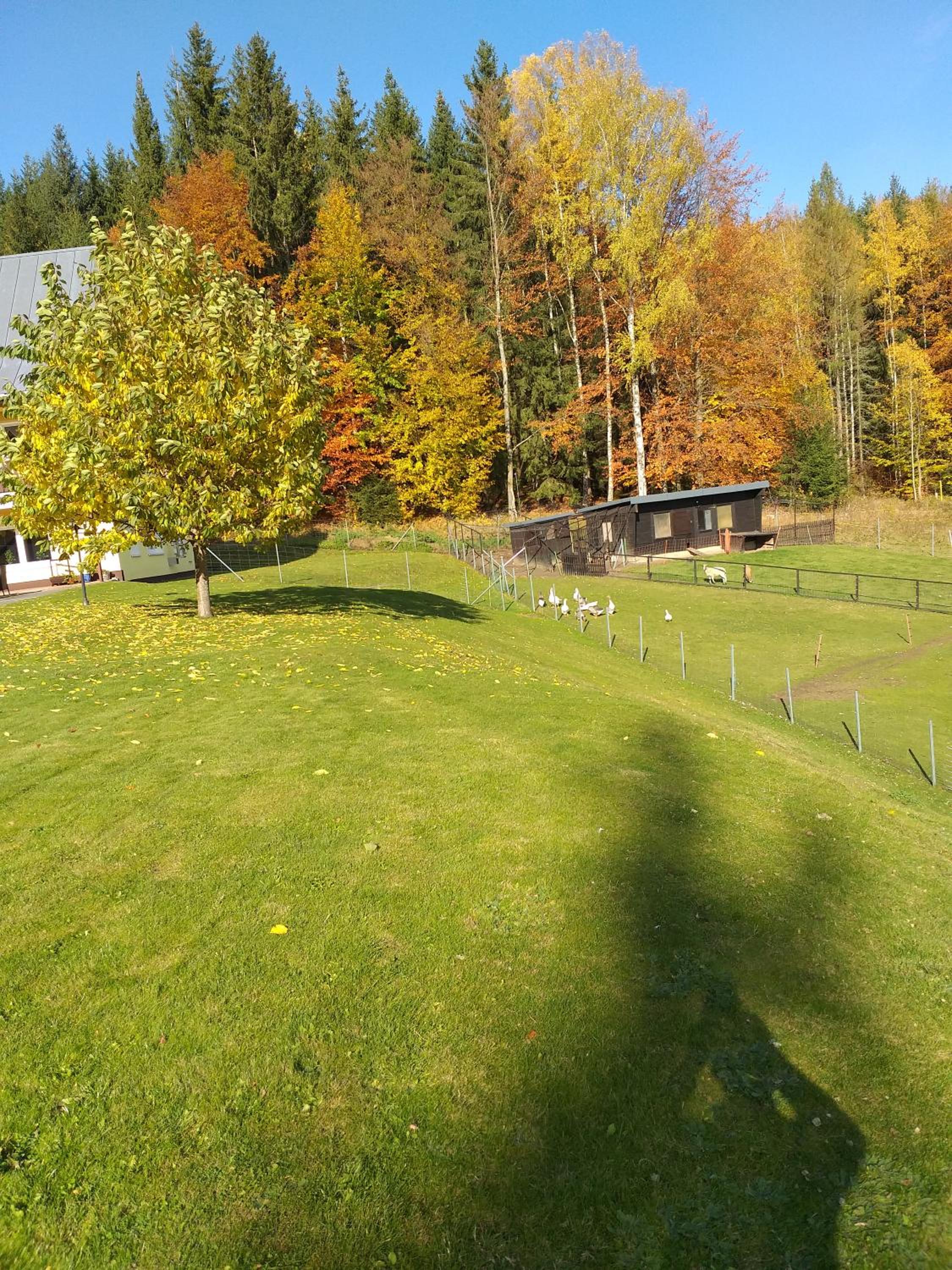 Pension Berghof