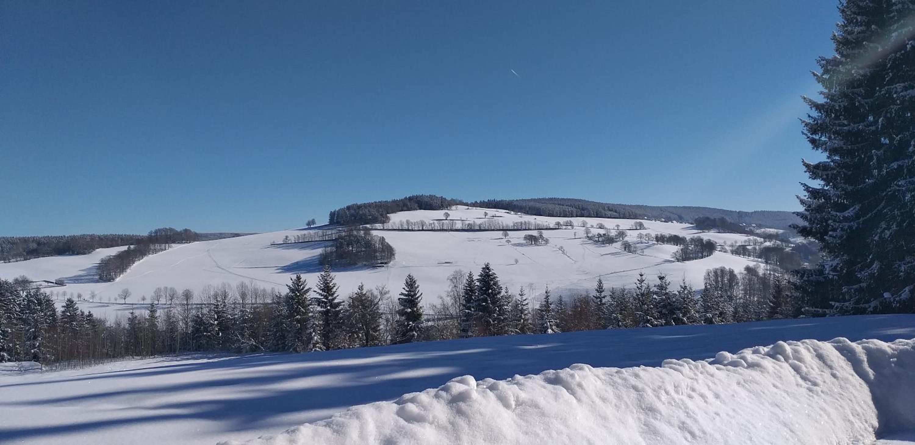 Pension Berghof