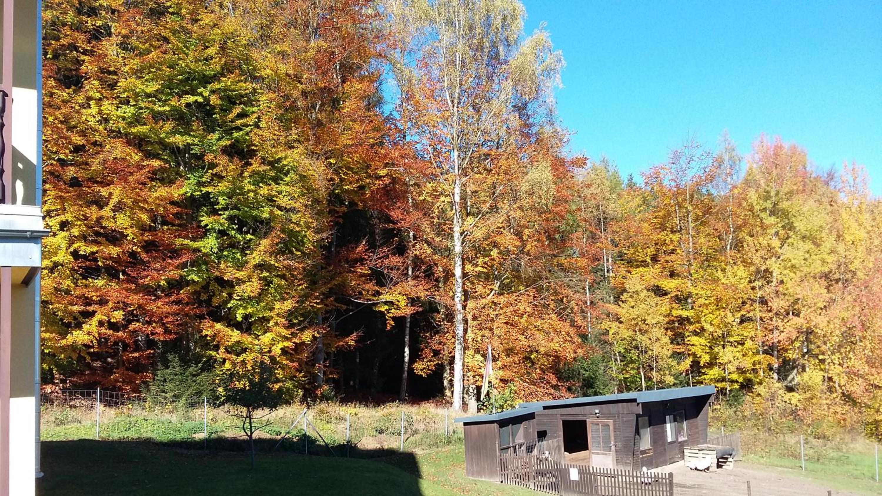 Pension Berghof