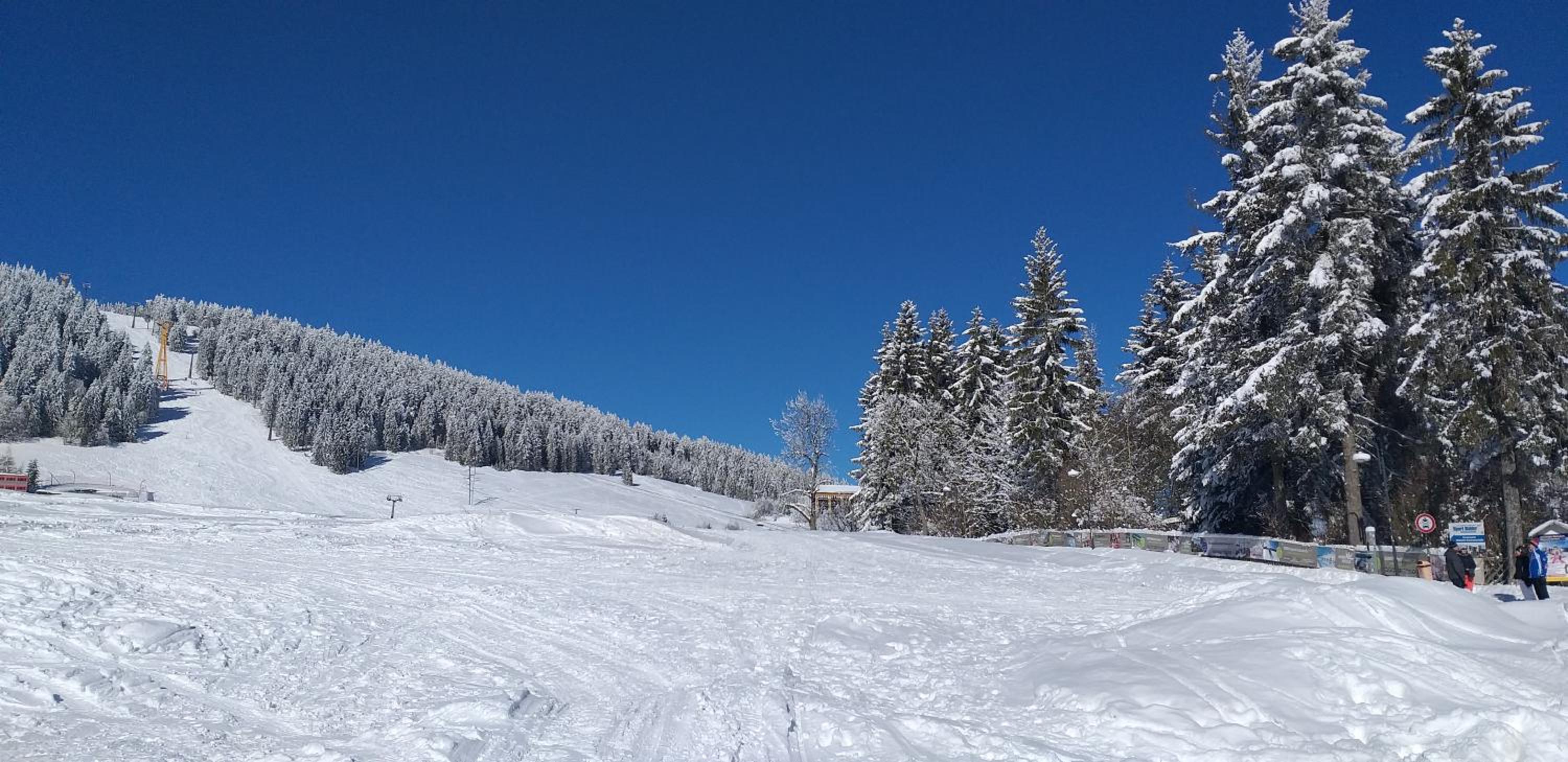 Pension Berghof