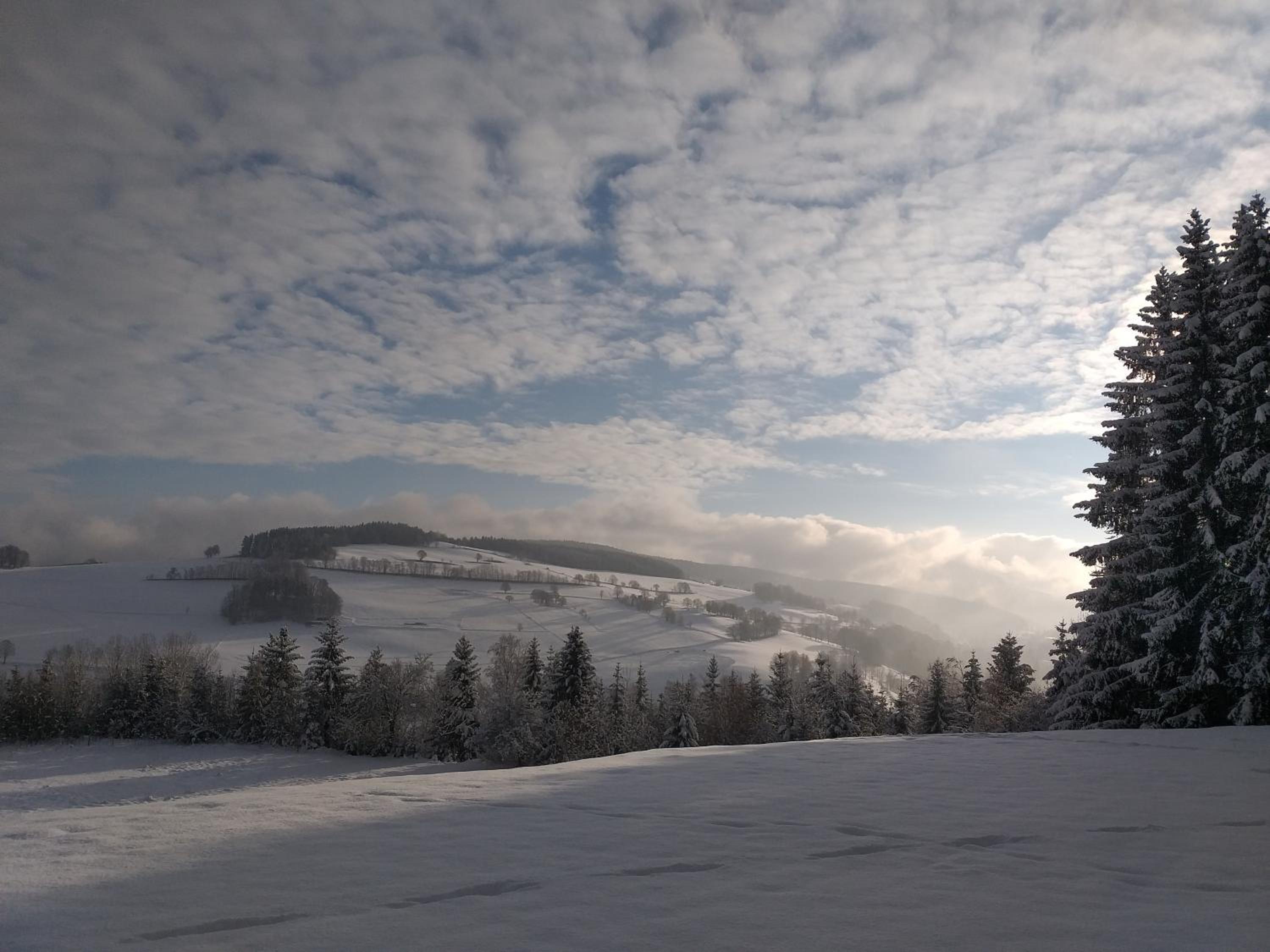 Pension Berghof