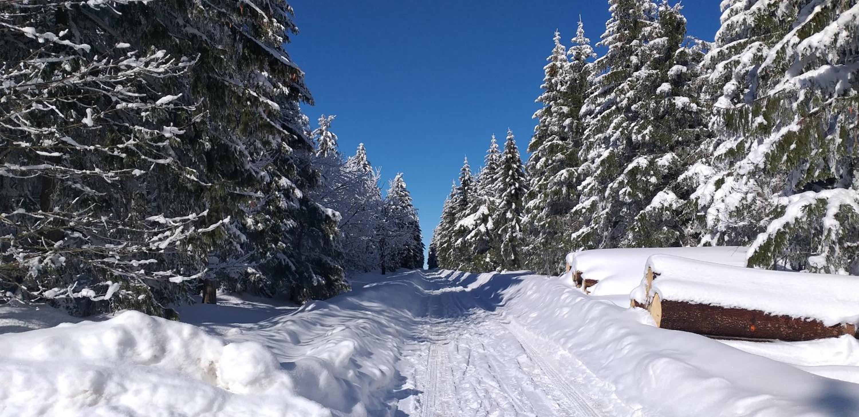 Pension Berghof