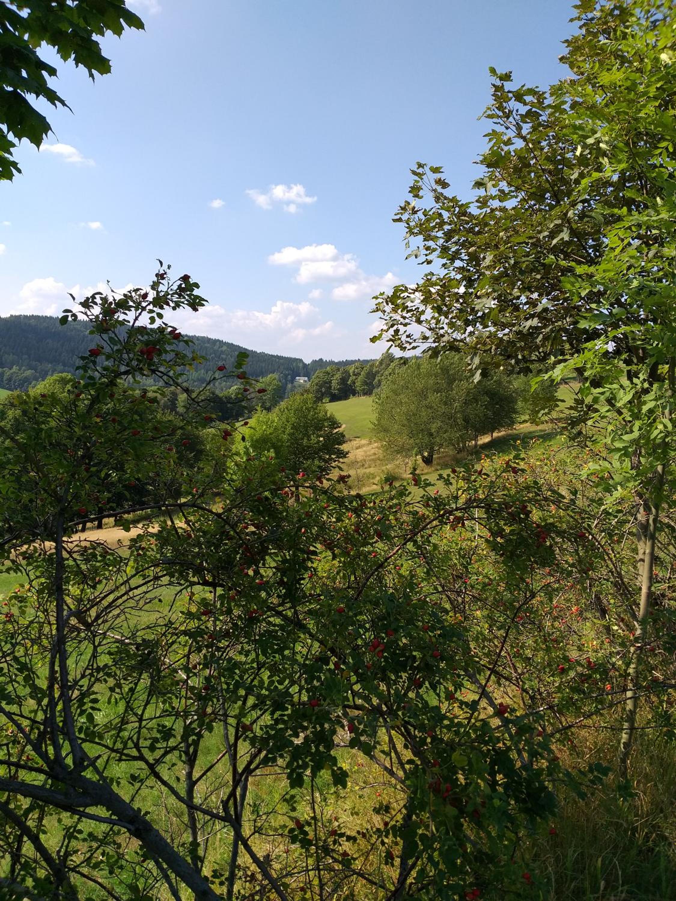 Pension Berghof