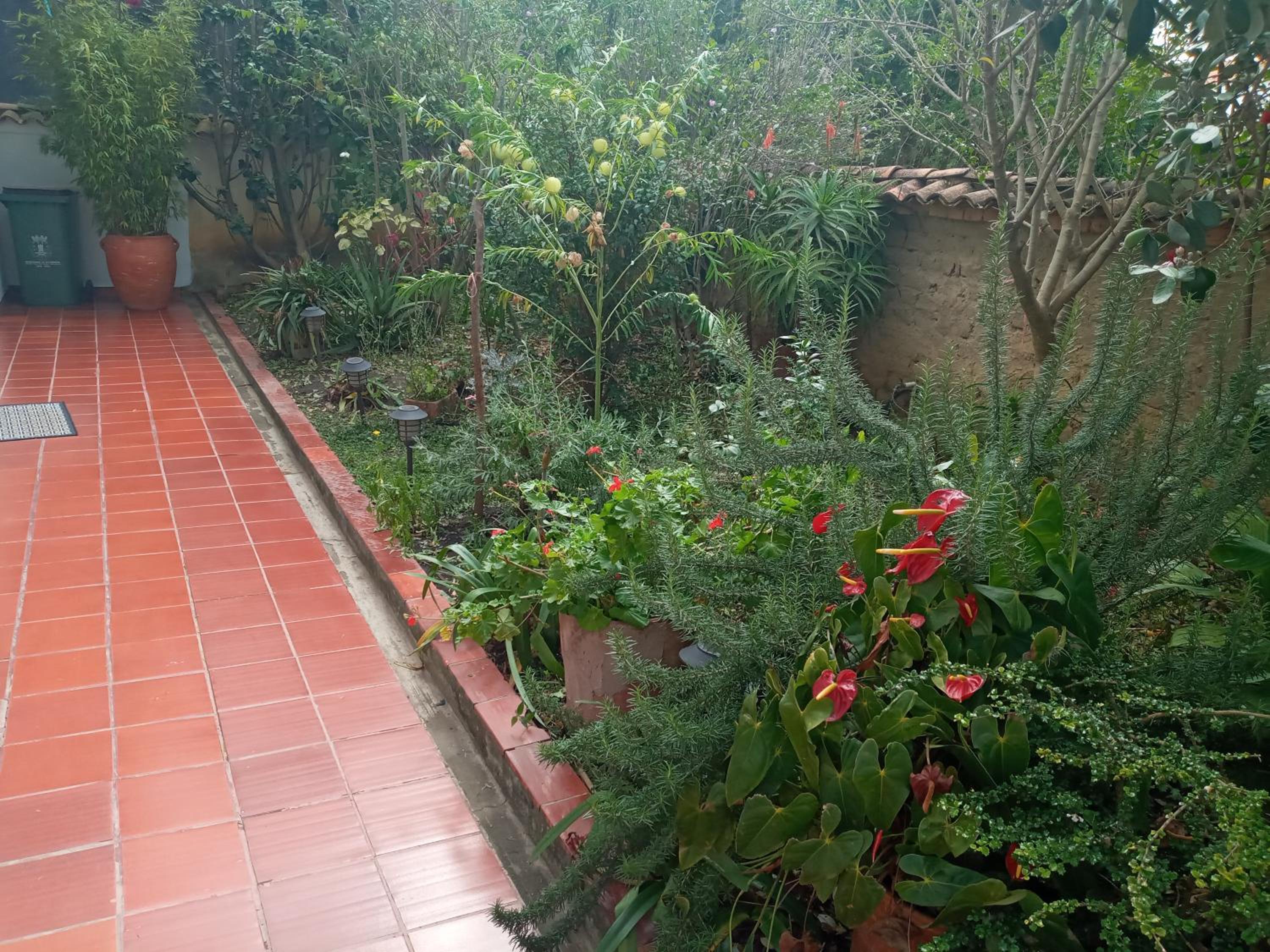 Hostal El Pino