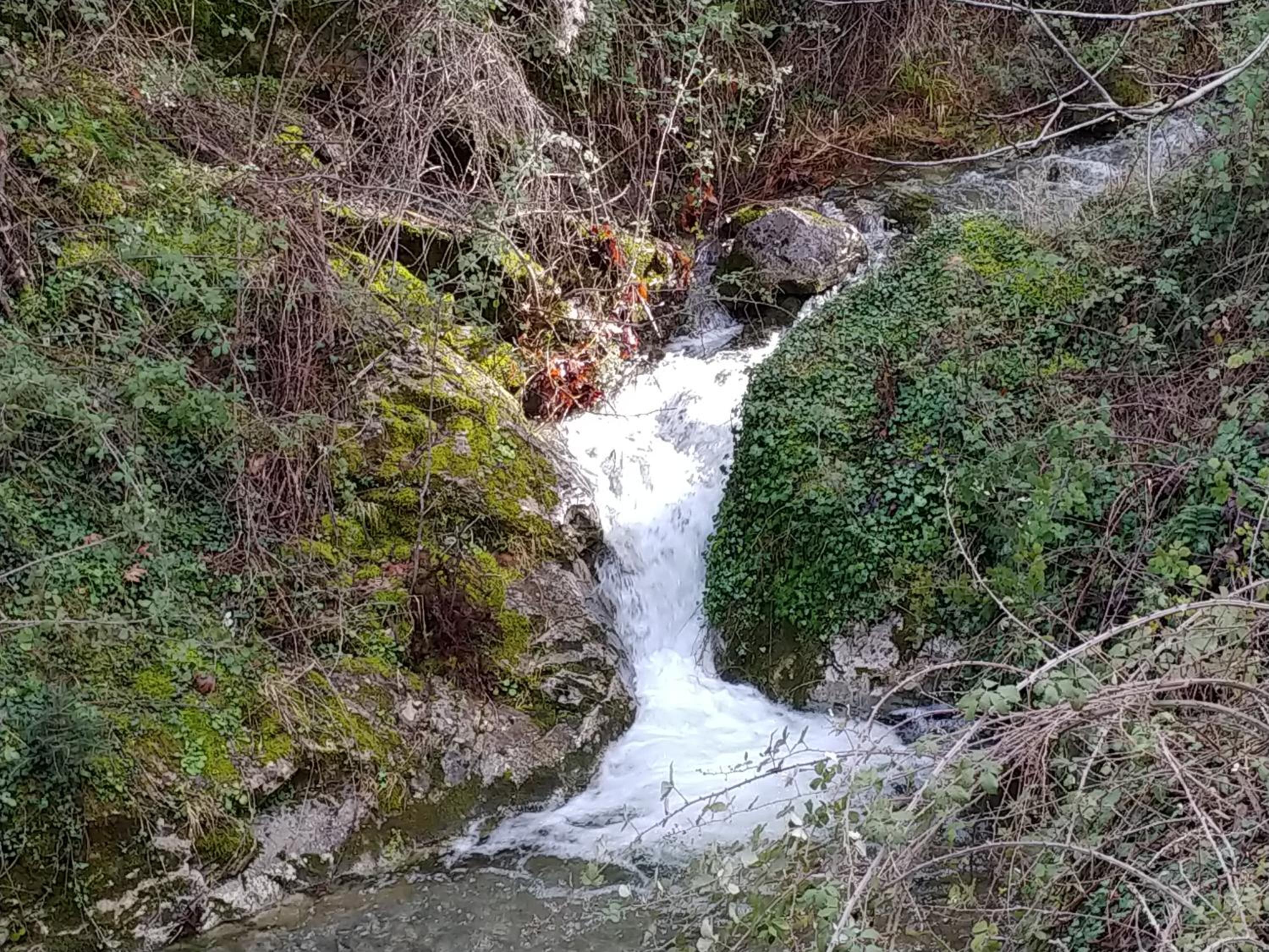 Photo 36