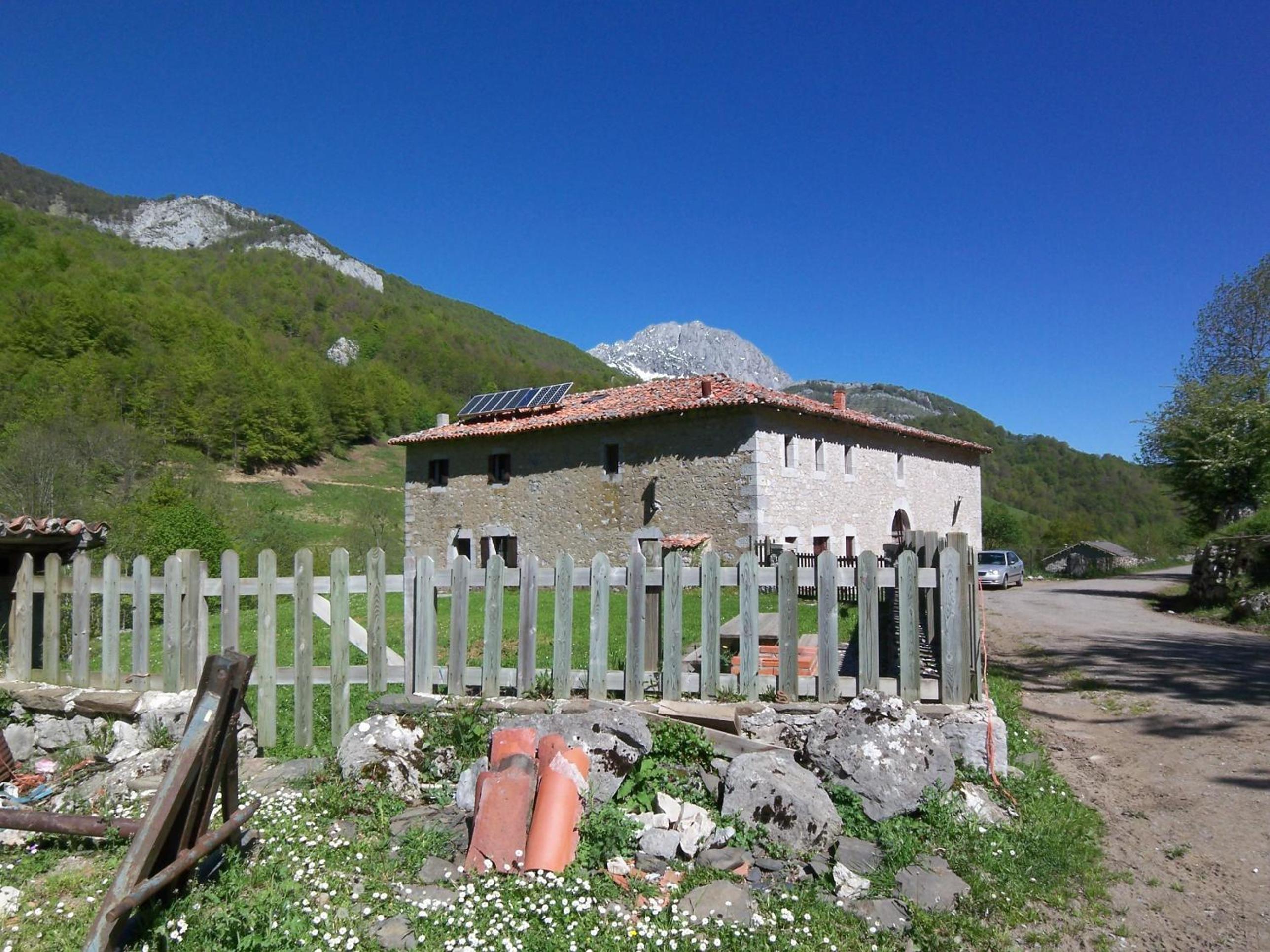 Photo 6