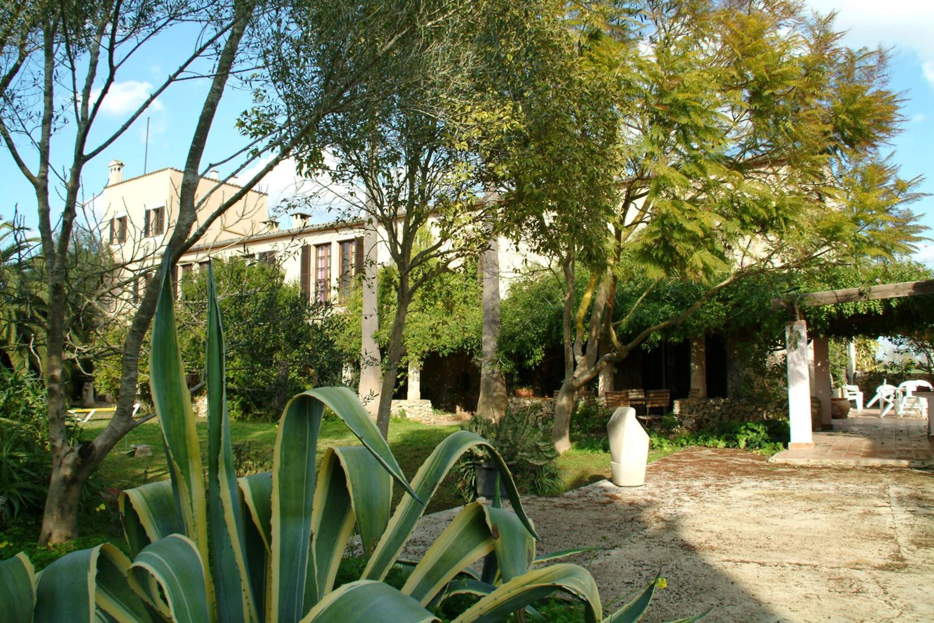 Photo 22
