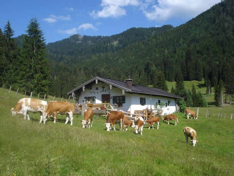 Schneider-Hof inkl. Chiemgaukarte