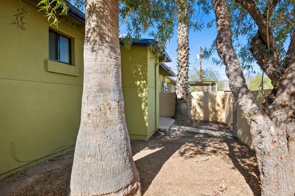 Sunset Foothills 2BR/1BA Condo; Mins to UofA,Hiking,&Food view 3