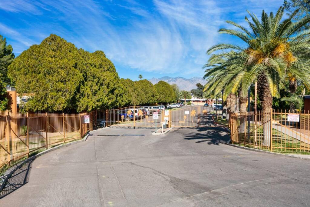 Sunset Foothills 2BR/1BA Condo; Mins to UofA,Hiking,&Food view 5