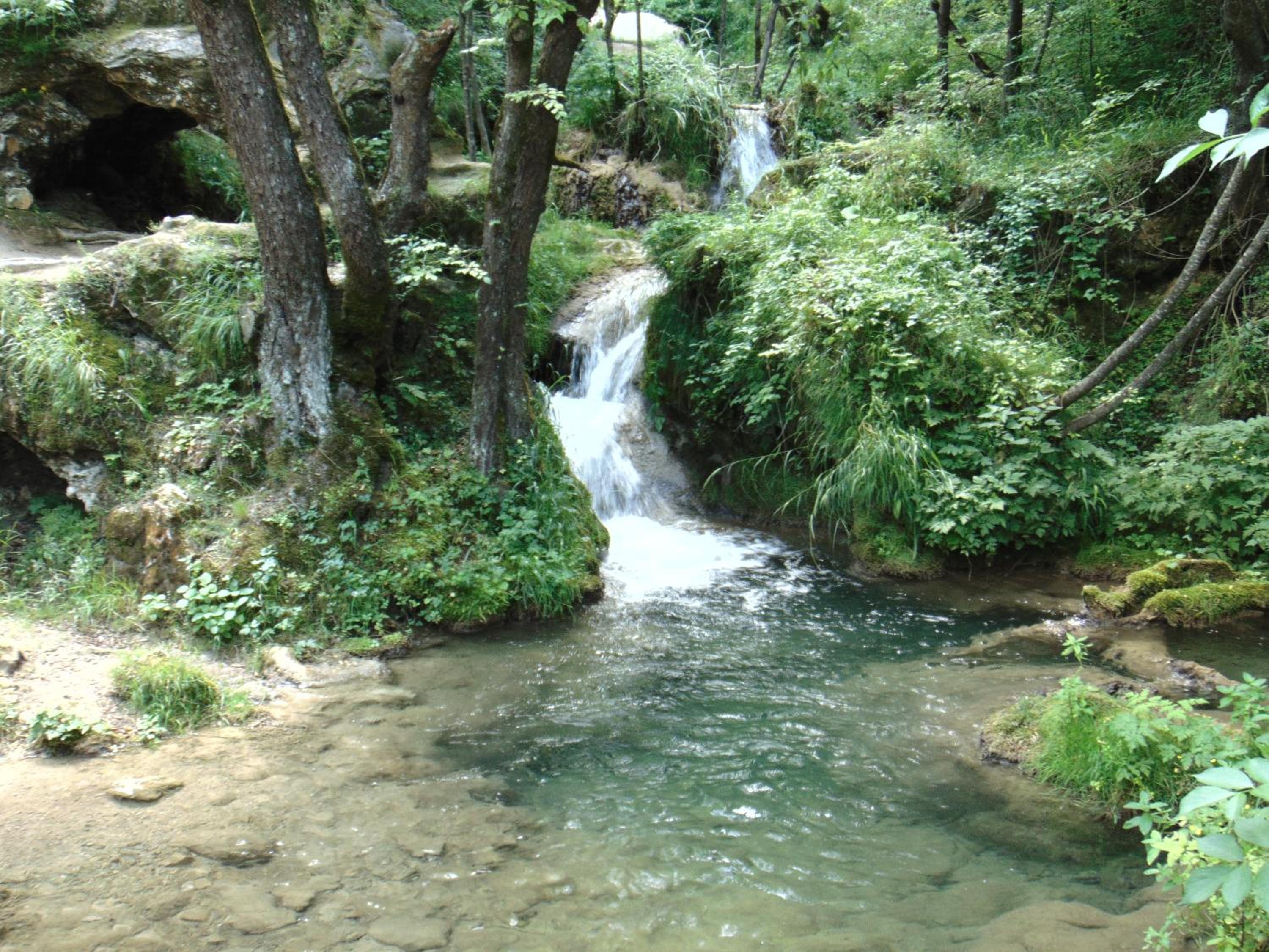 Photo 31