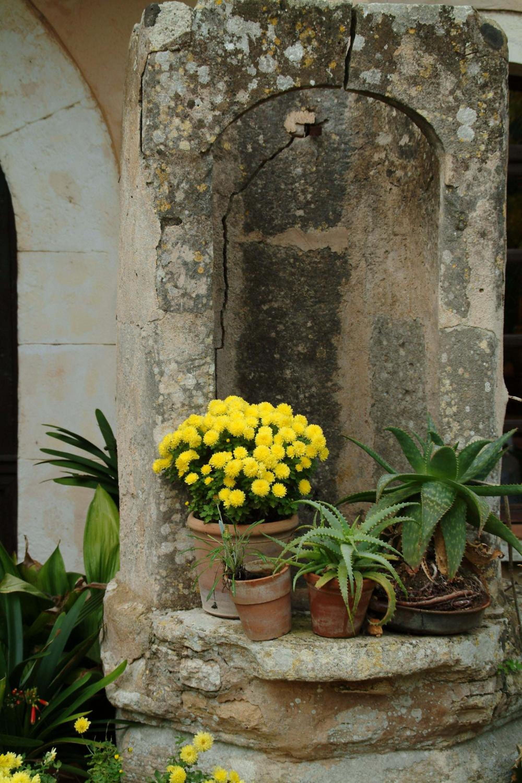 Photo 32