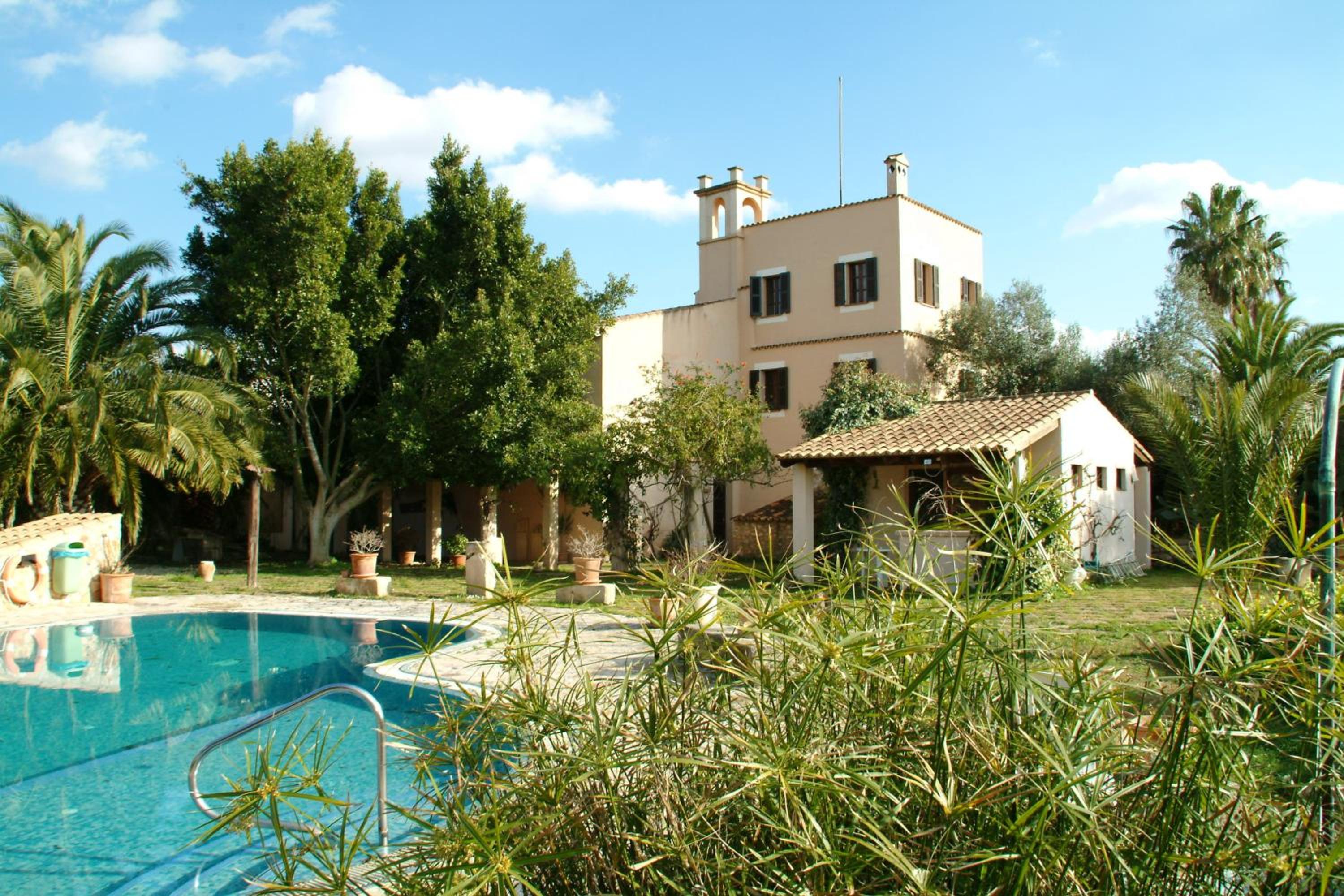 Photo 23