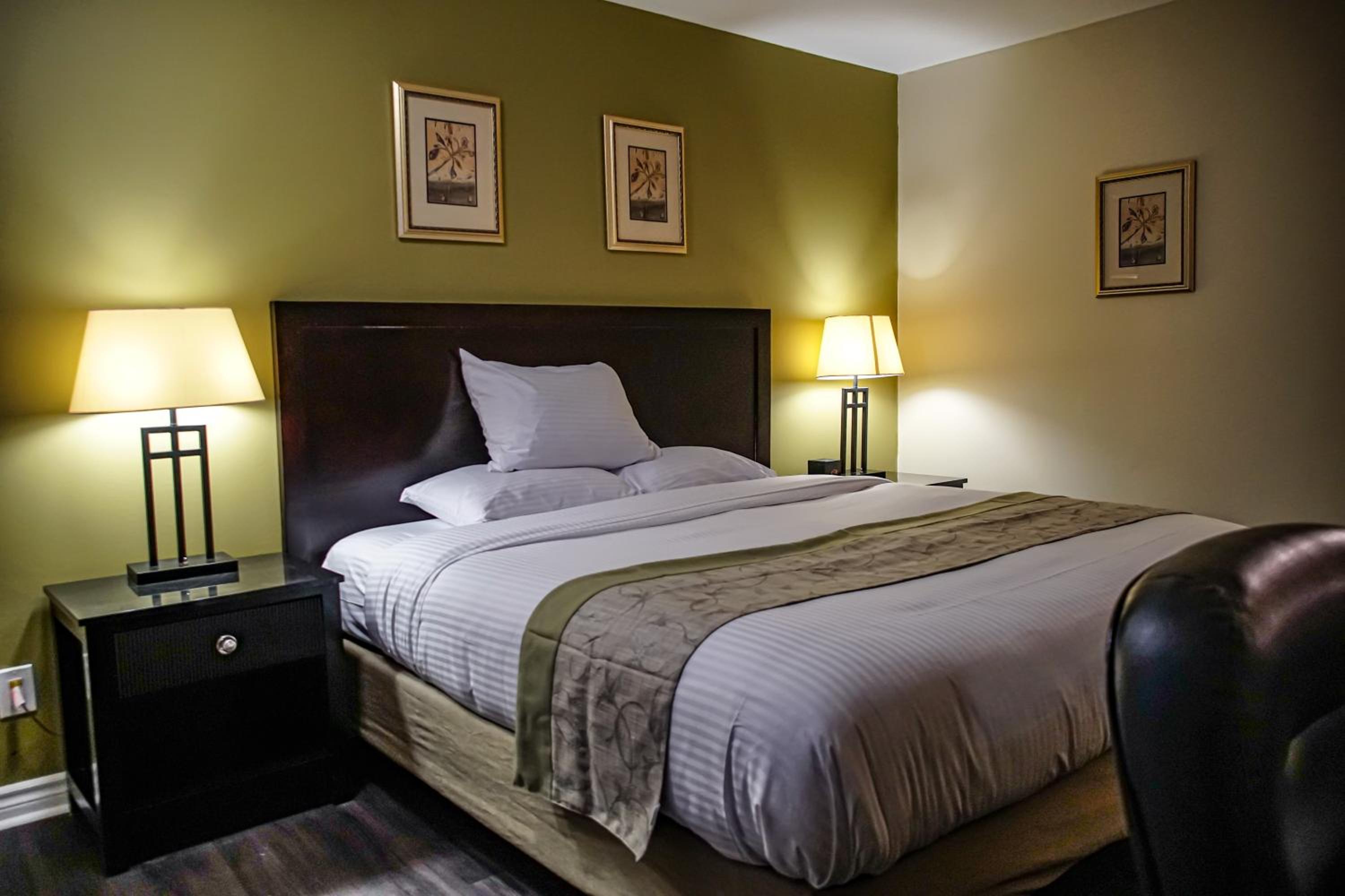Skyland Motel Inn & Suites view 3