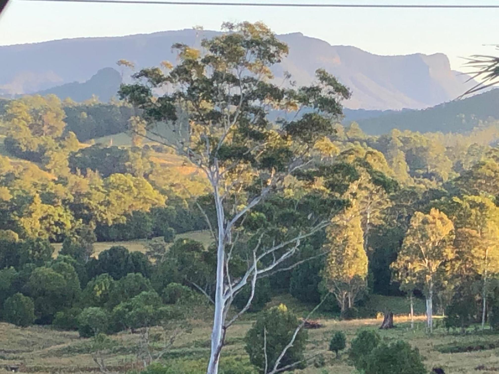 Grey Gum Lodge
