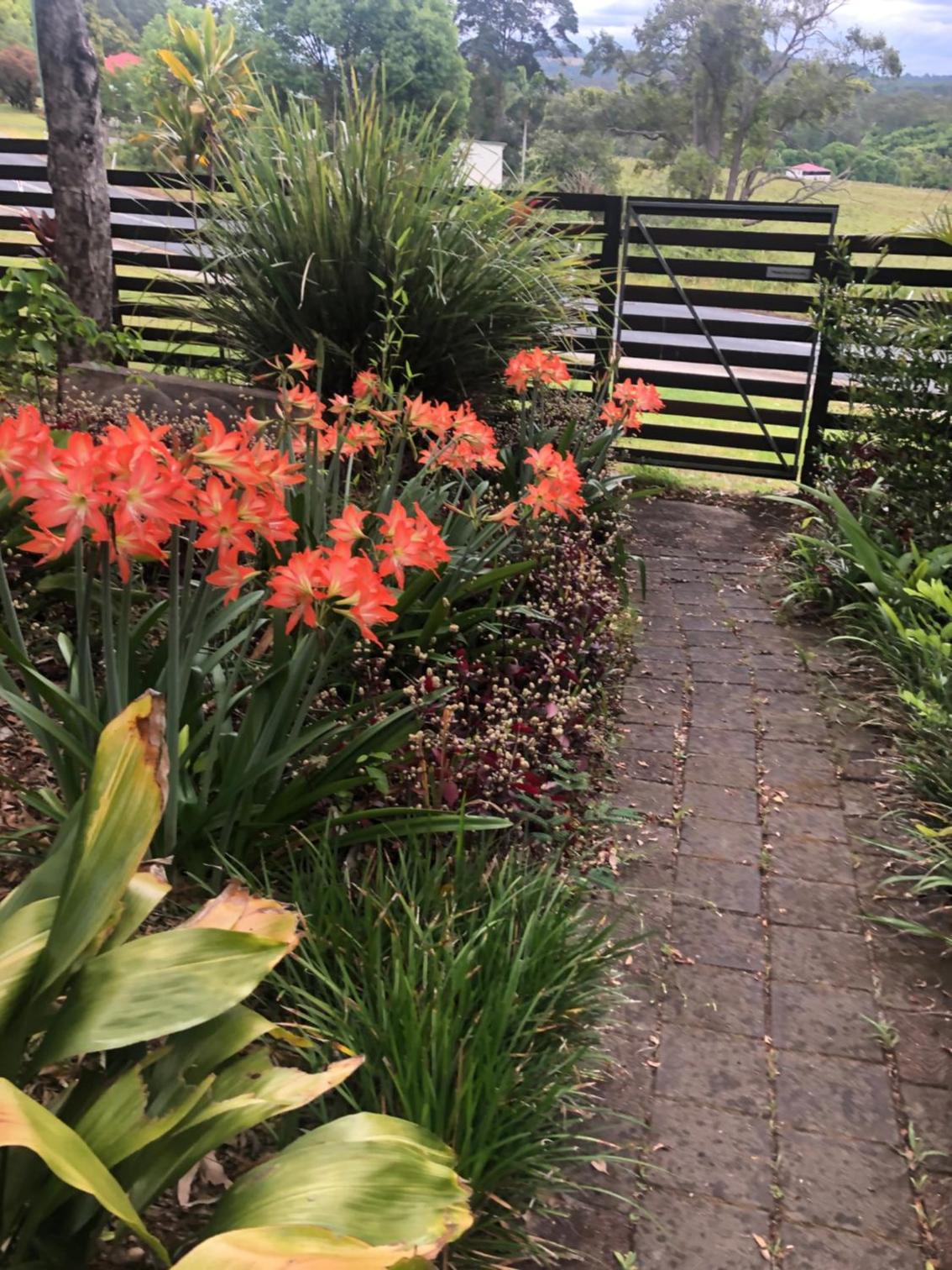 Grey Gum Lodge