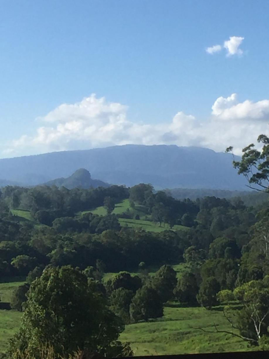 Grey Gum Lodge