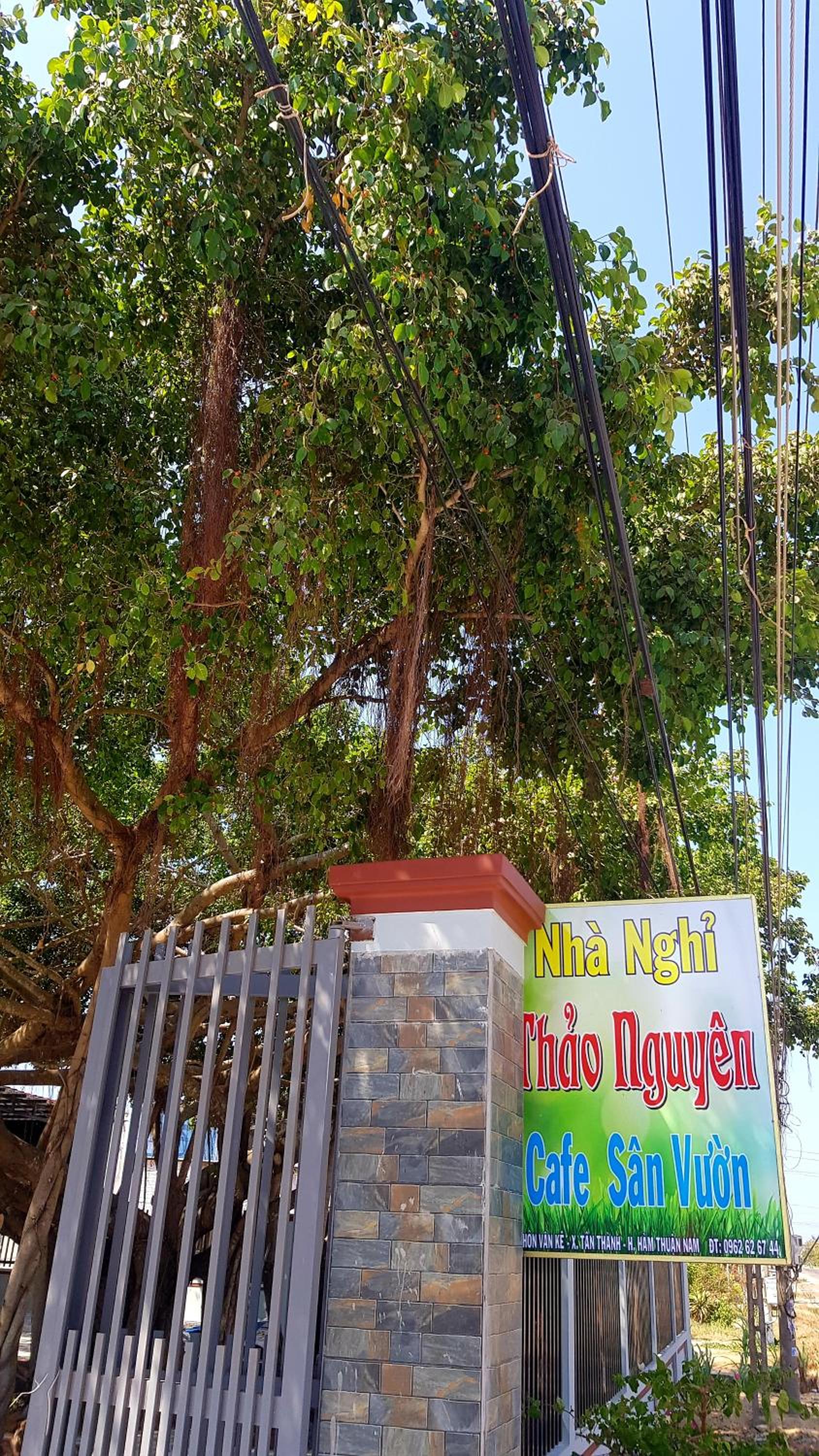 Photo 11