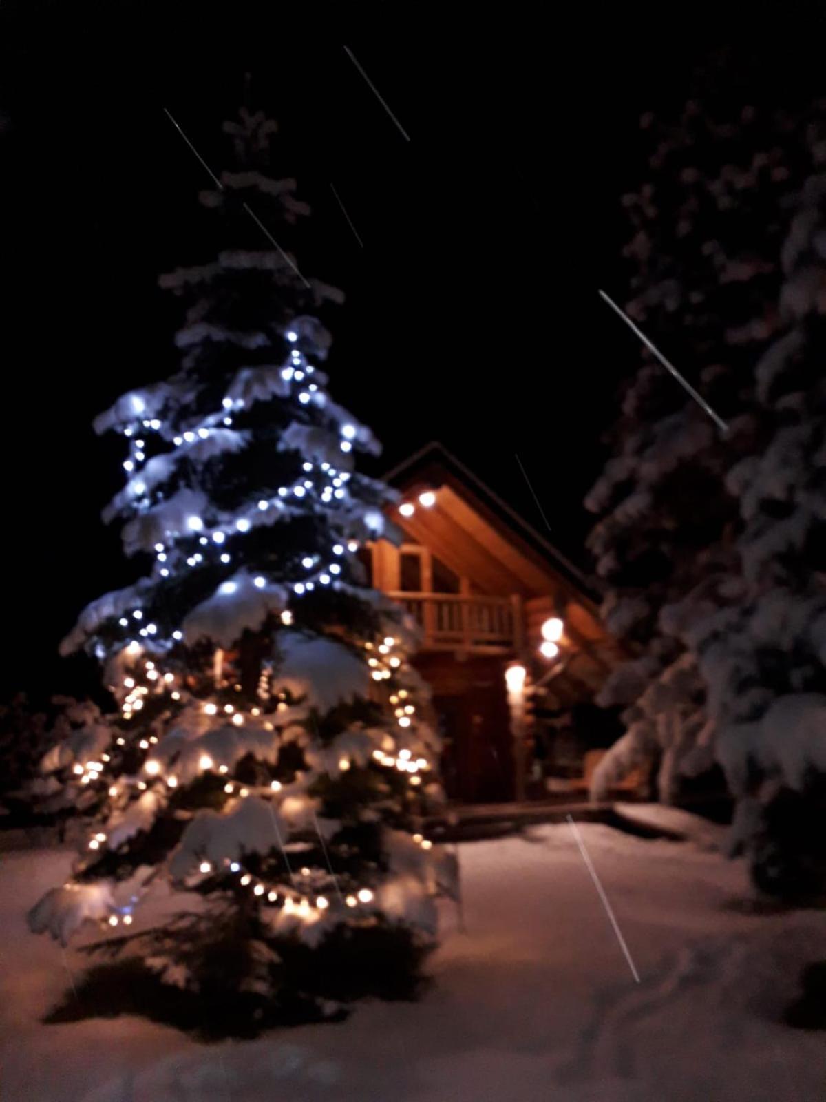 Photo 46