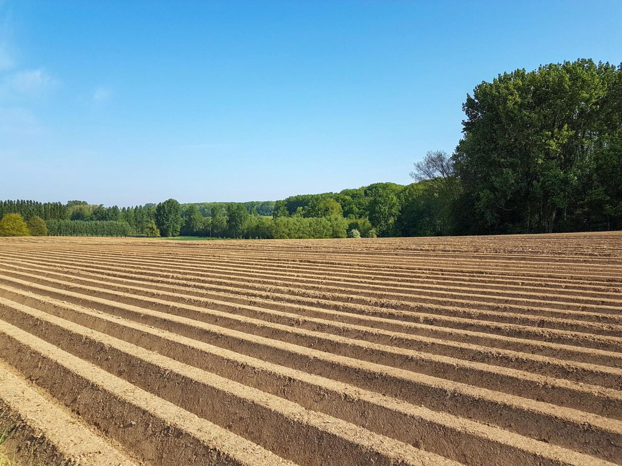 Vakantiewoning Hakuna Matata