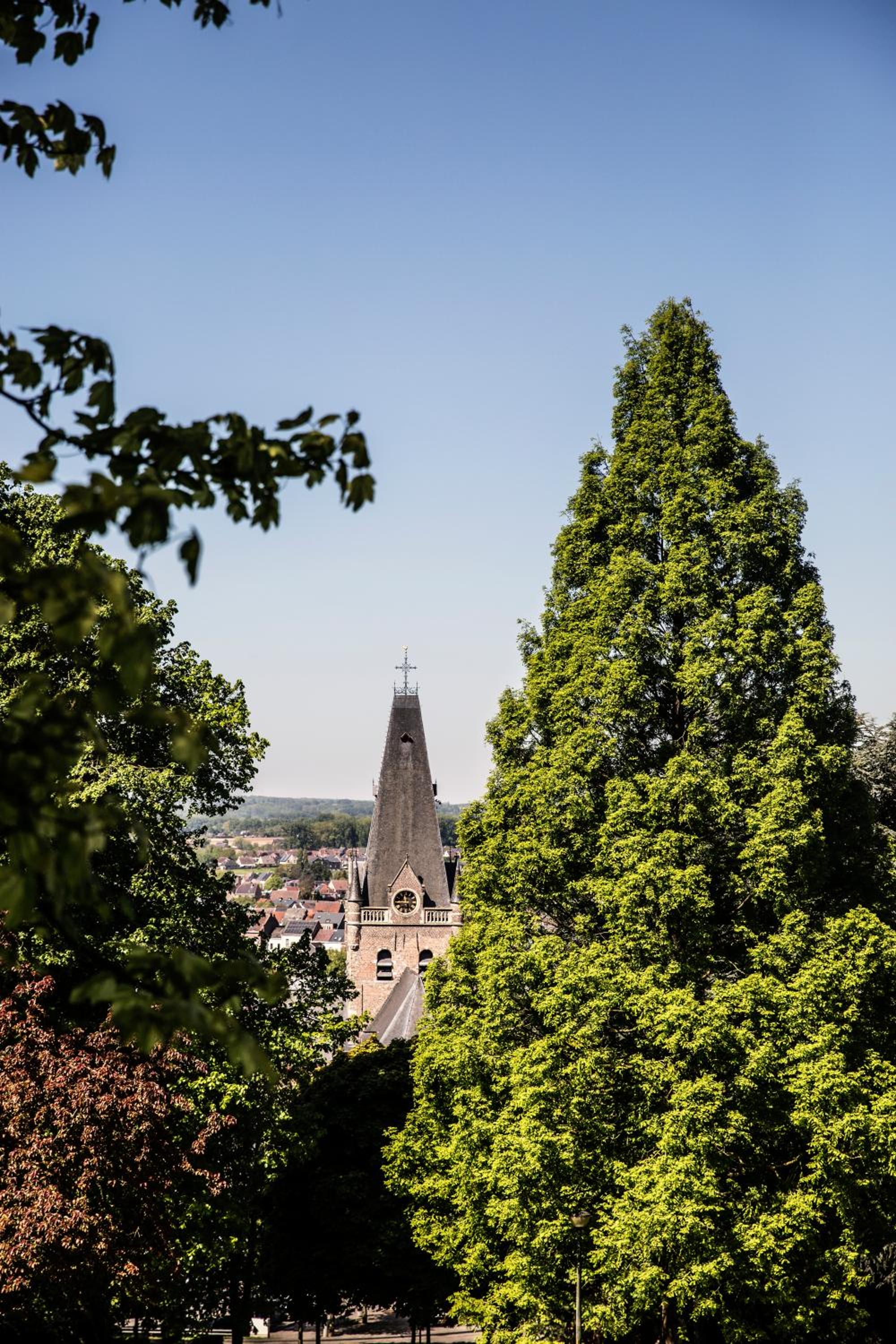 Vakantiewoning Hakuna Matata