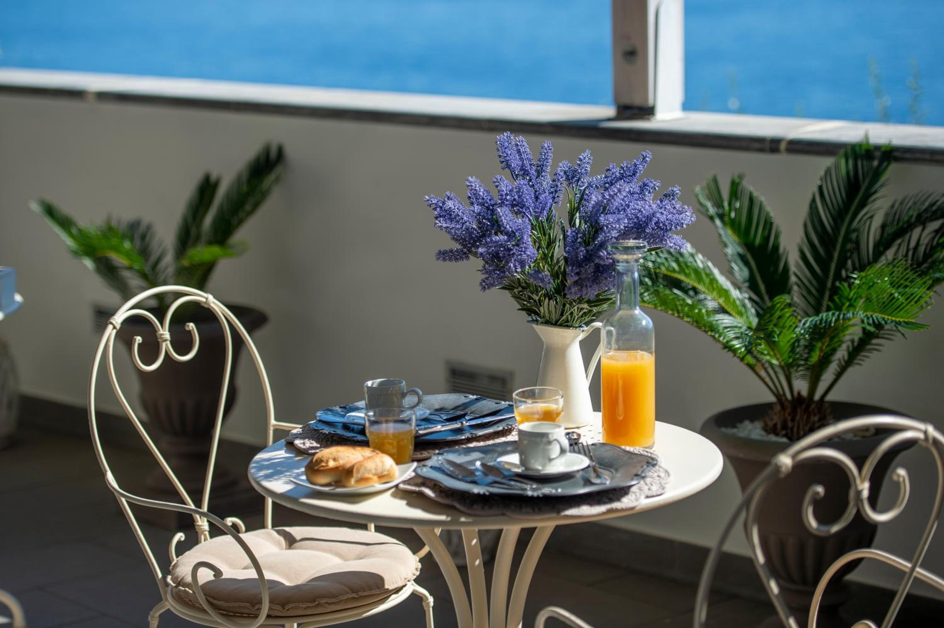 balance & terrace